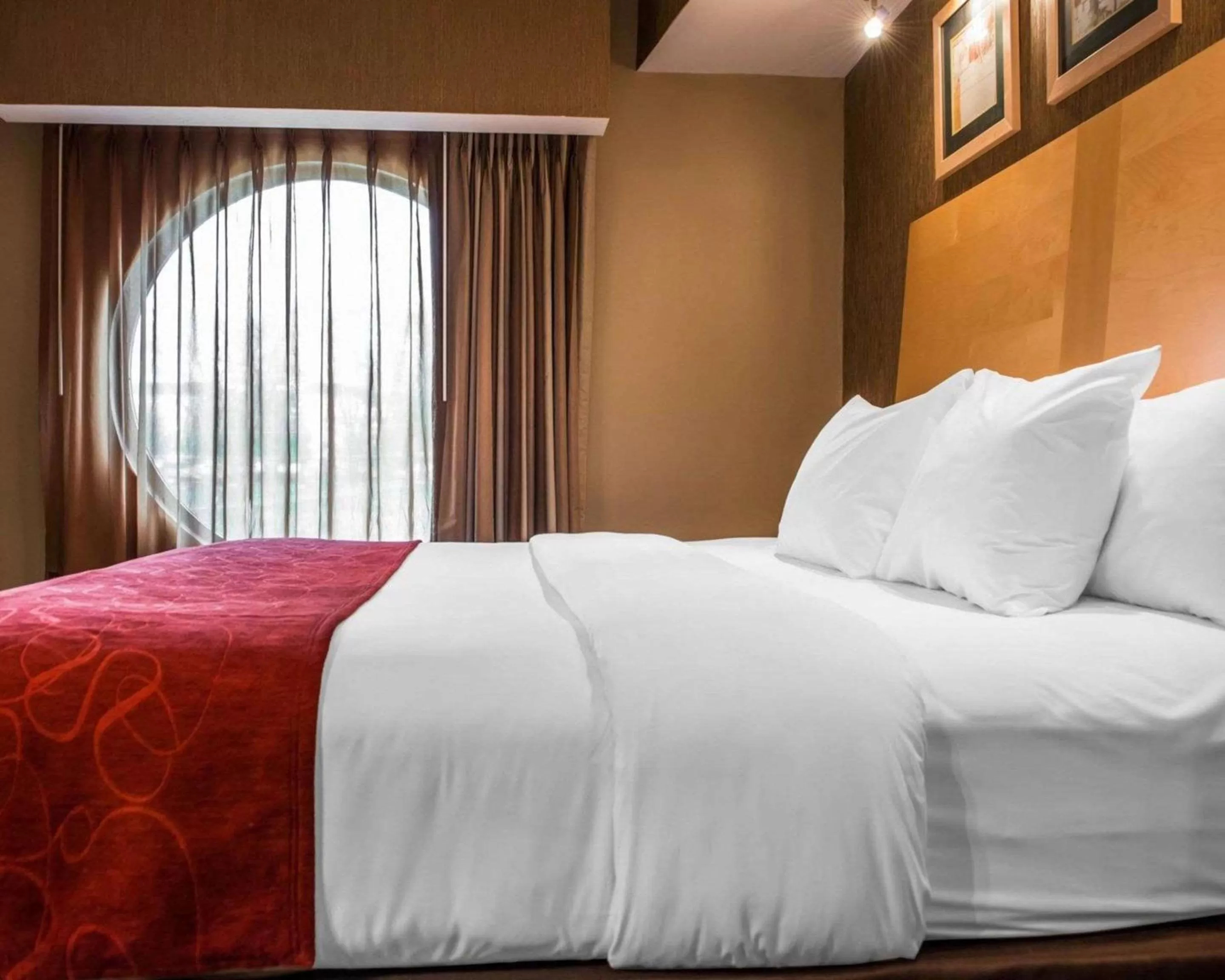 Photo of the whole room, Bed in Comfort Suites Monroeville - Pittsburgh East