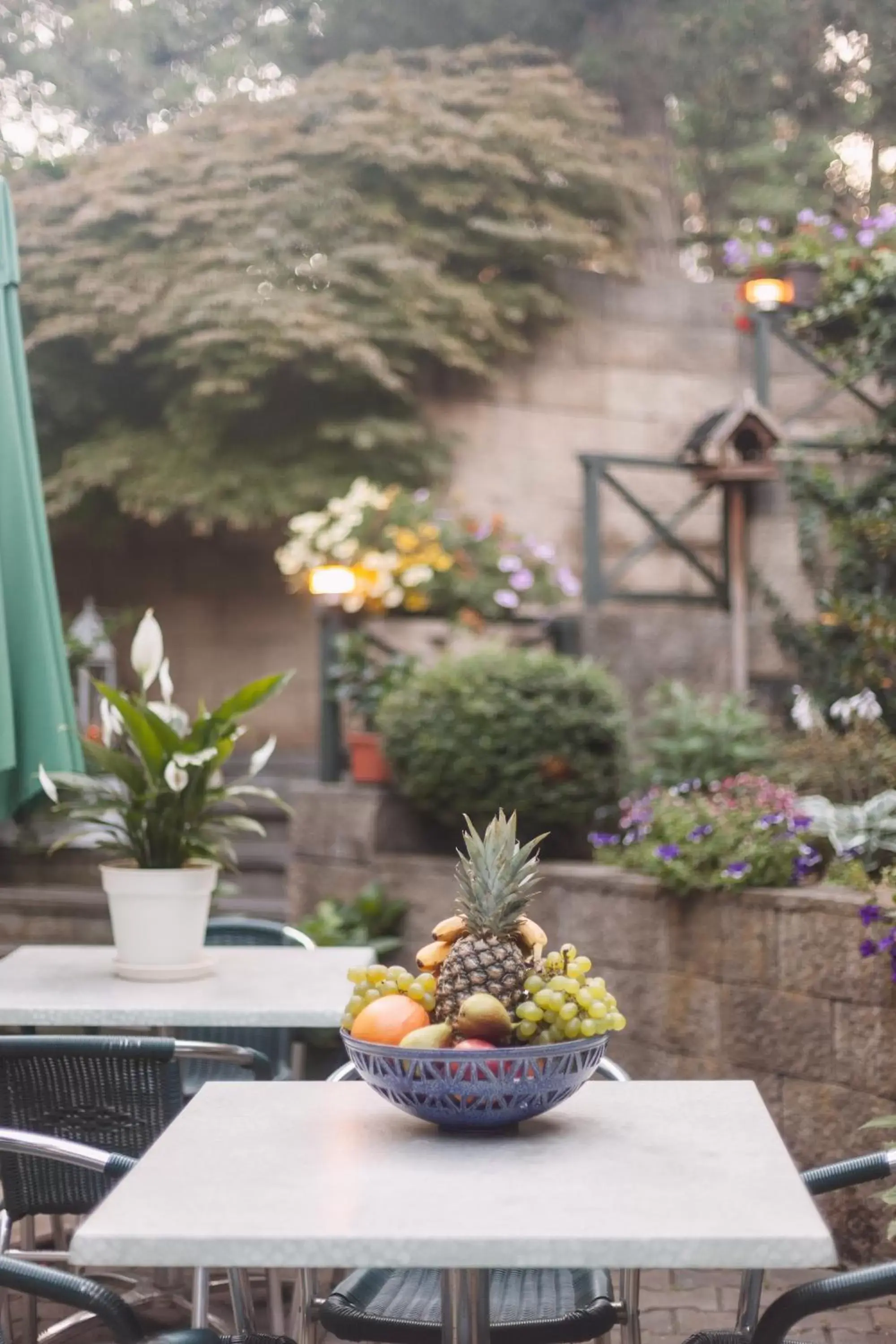 Garden in Hotel Peko