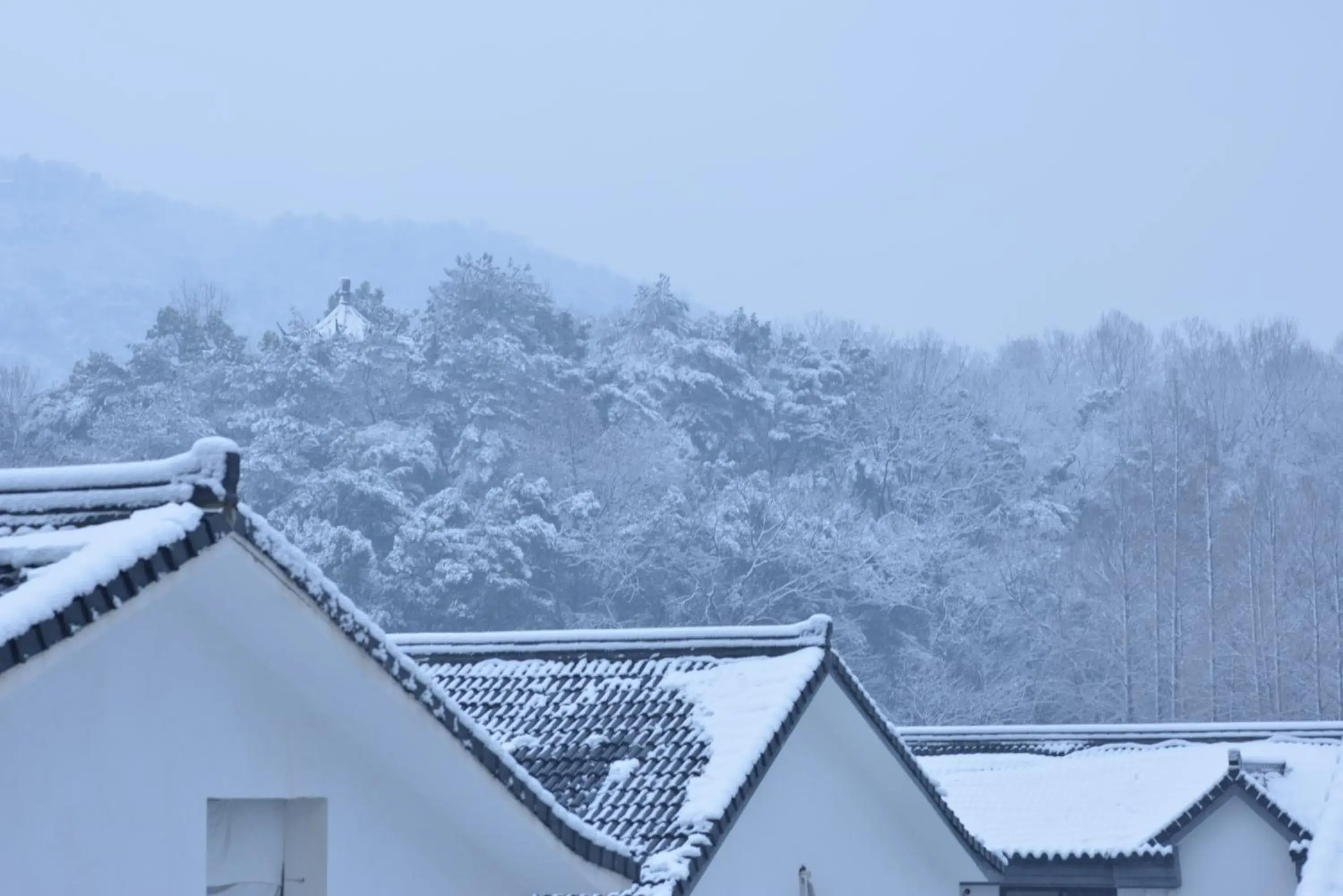 Winter in Rock&Wood Cozy House