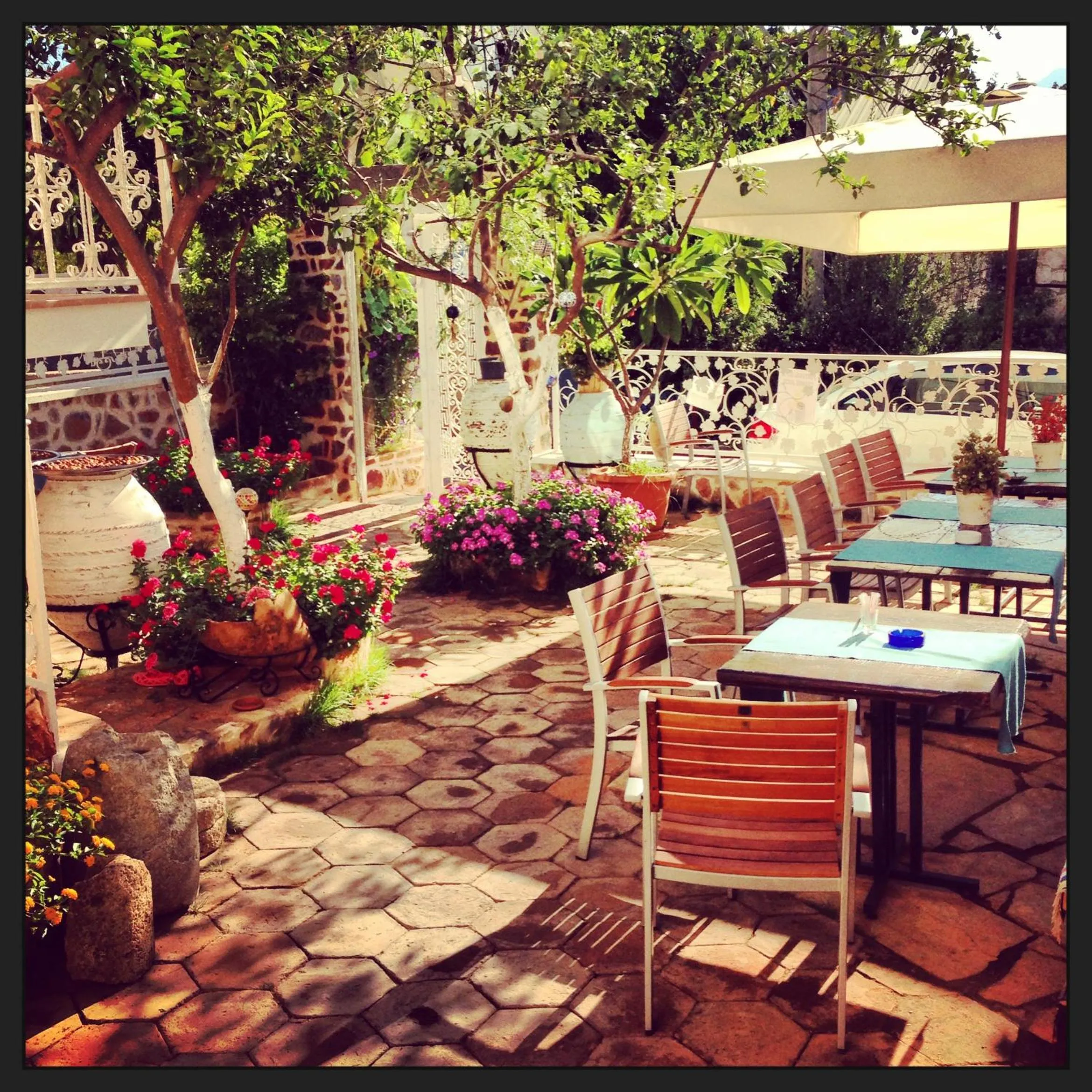 Restaurant/places to eat in Lemon Villa Hotel