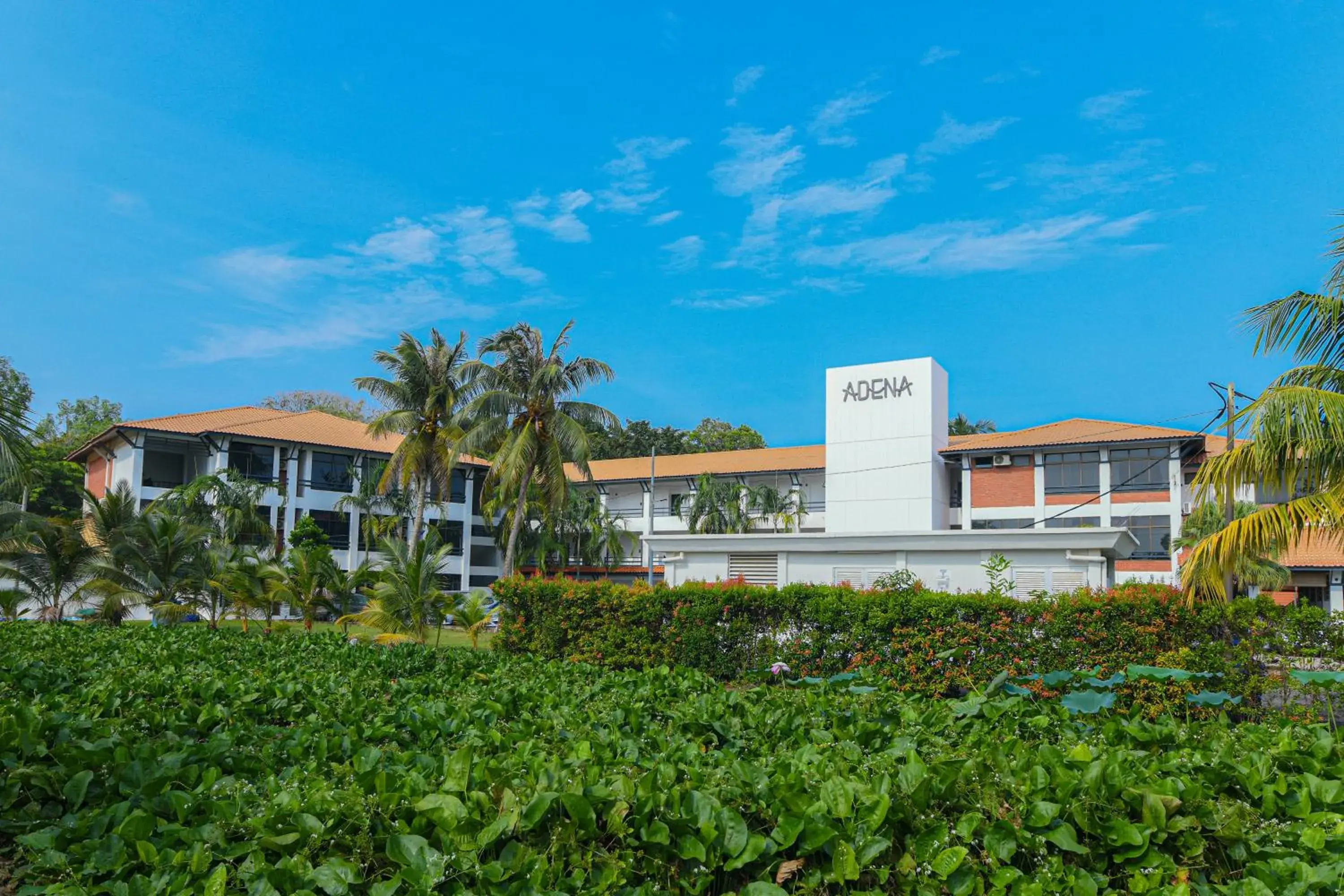 Property Building in Adena Beach Resort