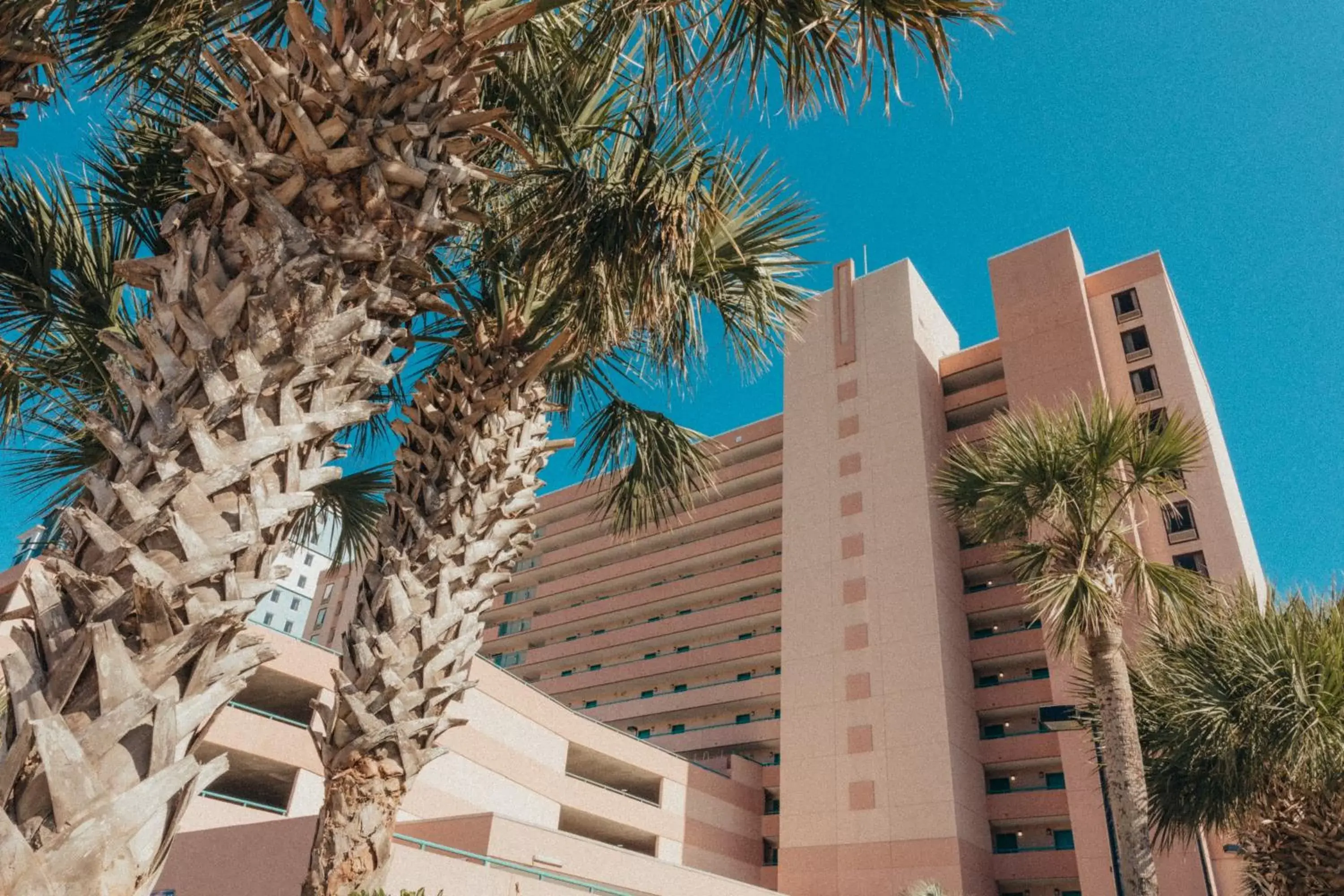 Property Building in Sandcastle Oceanfront Resort South Beach