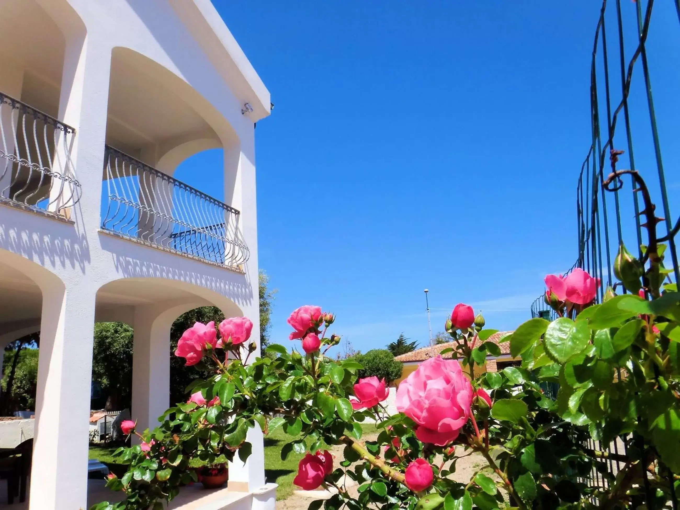 Facade/entrance in Hotel La Tartaruga Bianca