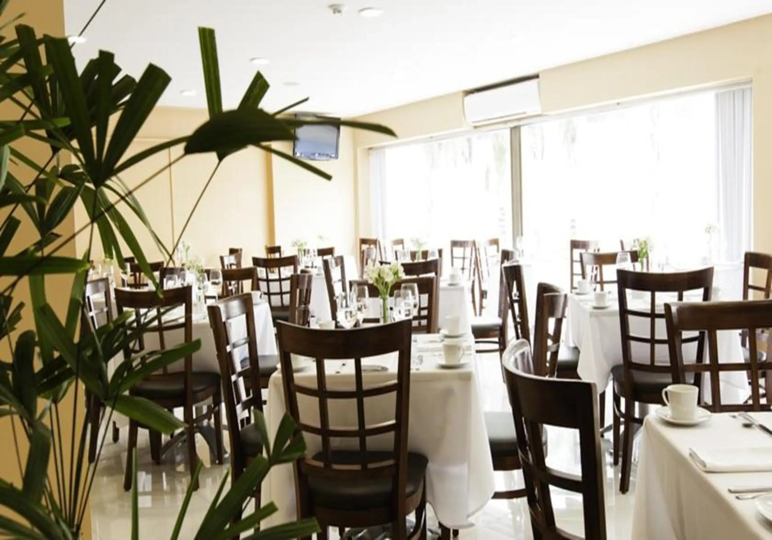 Restaurant/places to eat in Mision Express Merida Altabrisa Restaurant/places to eat in Mision Express Merida Altabrisa