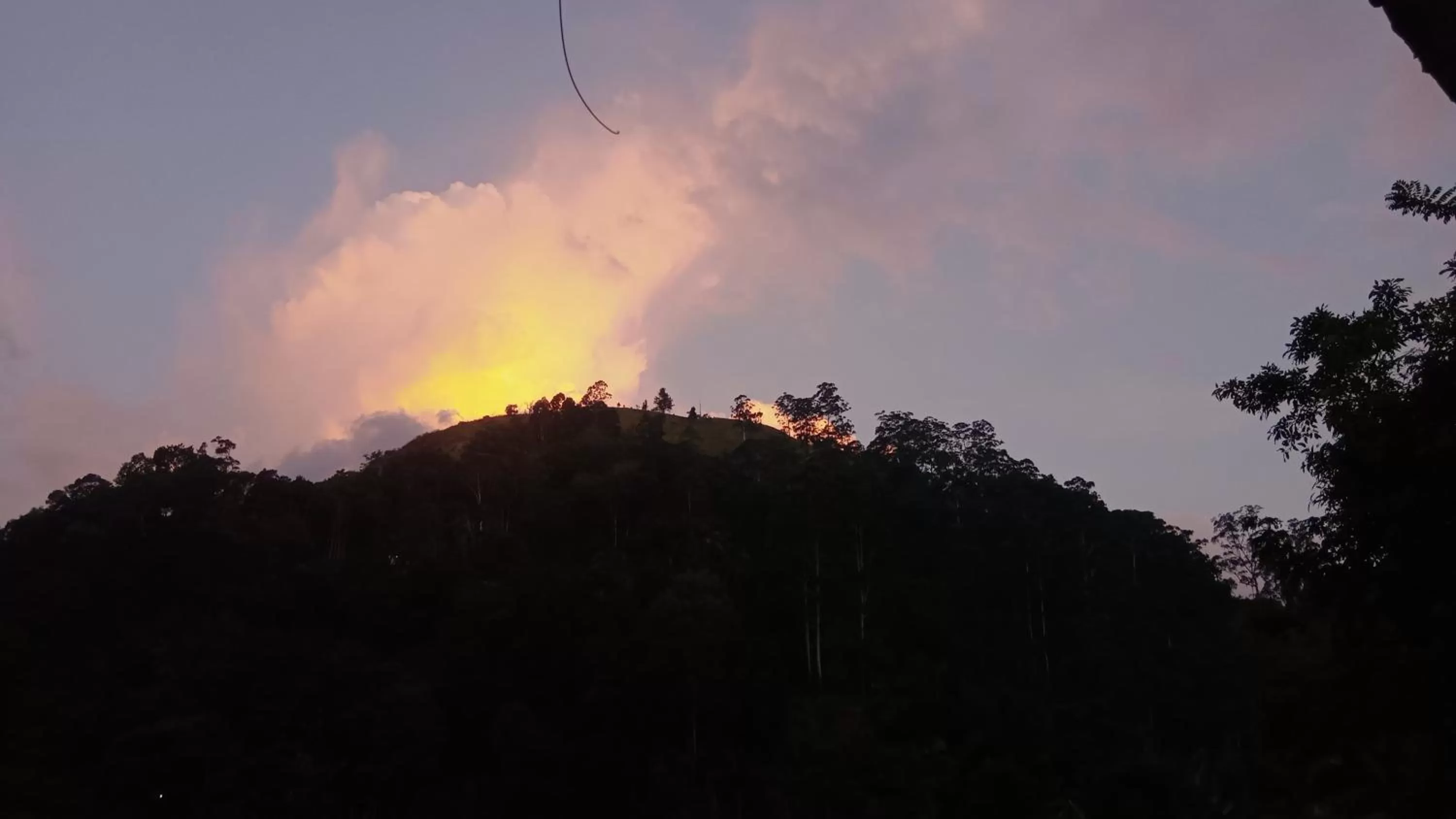 Ella Lucky Panoramic