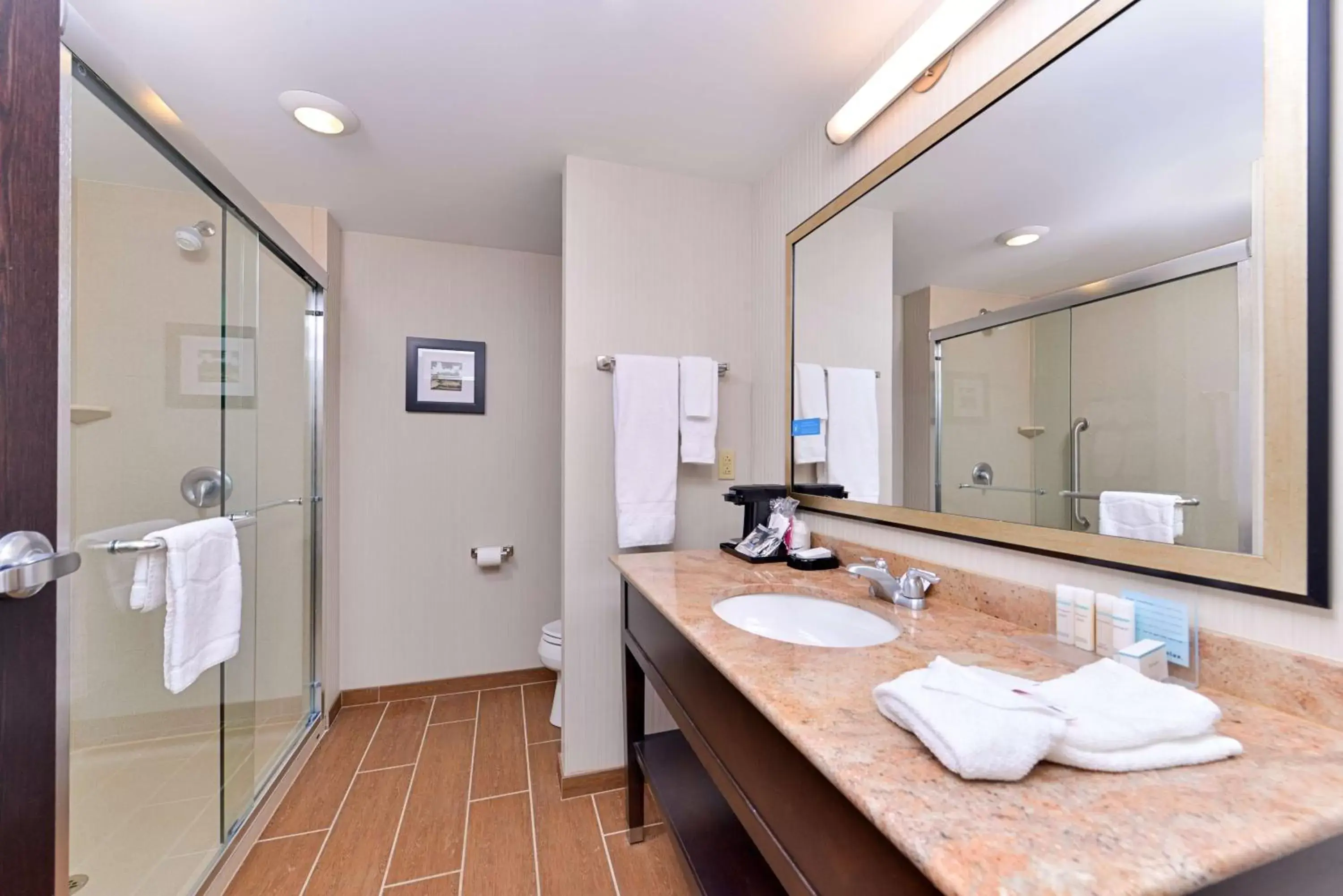 Bathroom in Hampton Inn & Suites California University-Pittsburgh