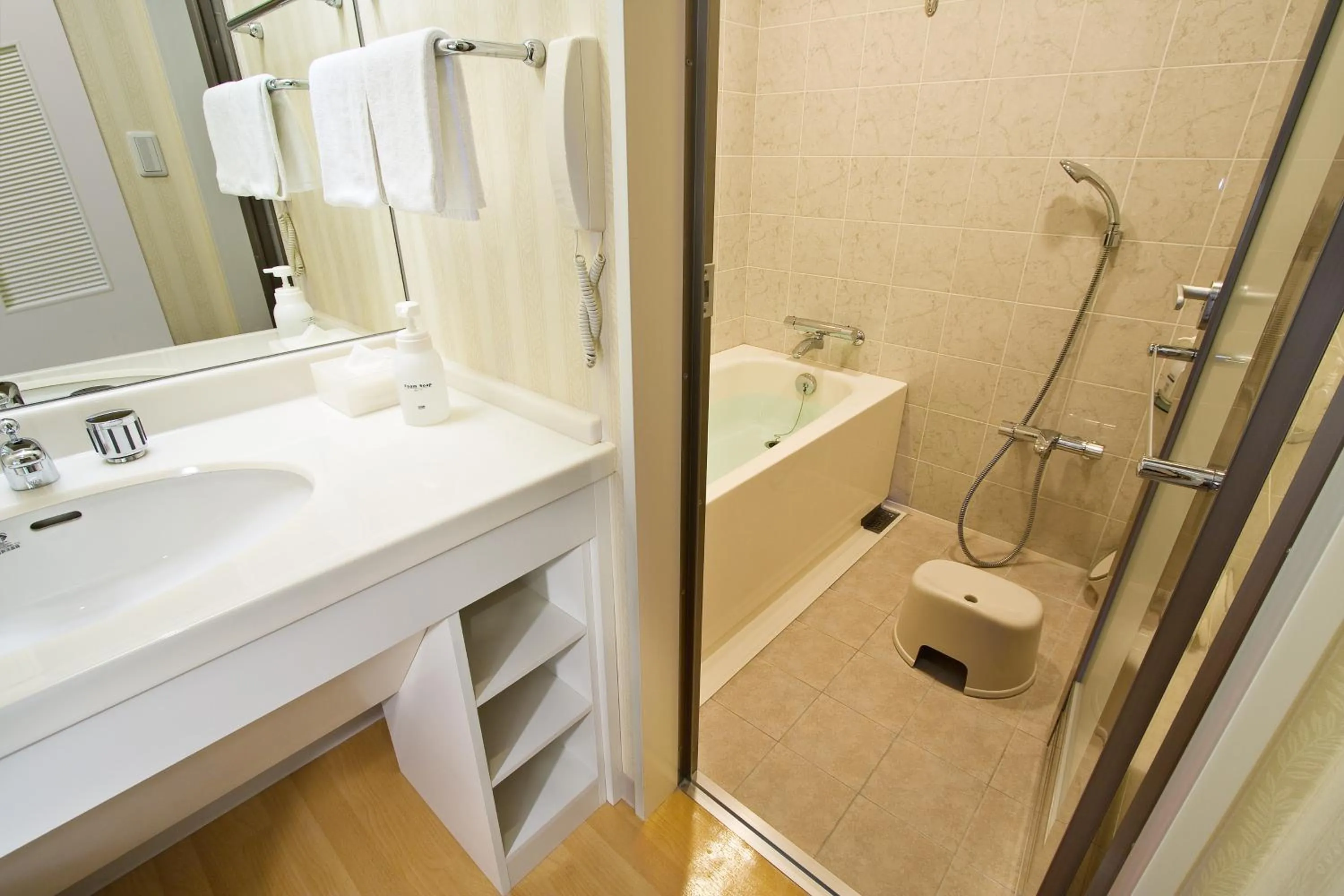 Photo of the whole room in Hotel Emion Tokyo Bay