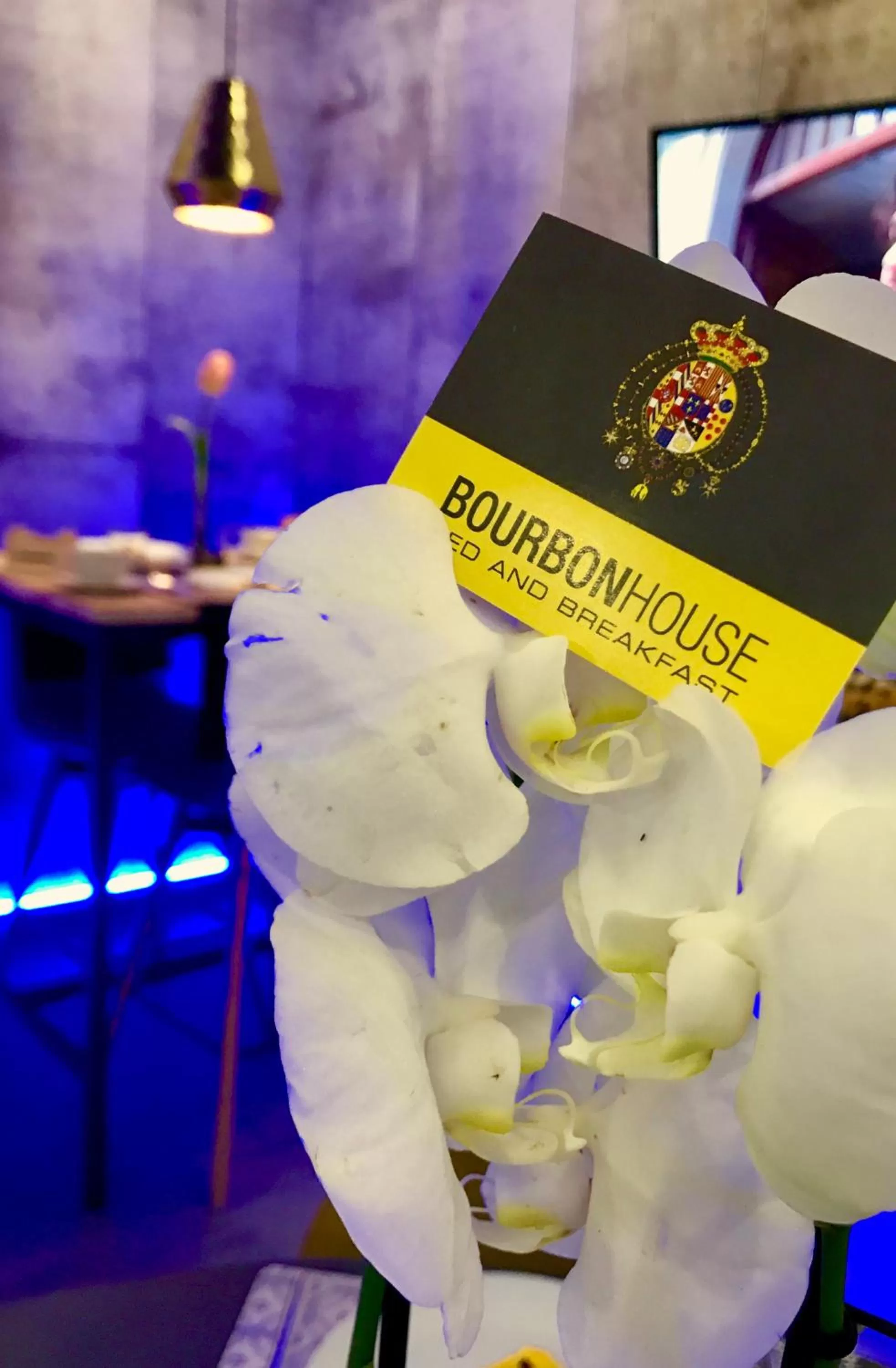 Decorative detail in Bourbon House