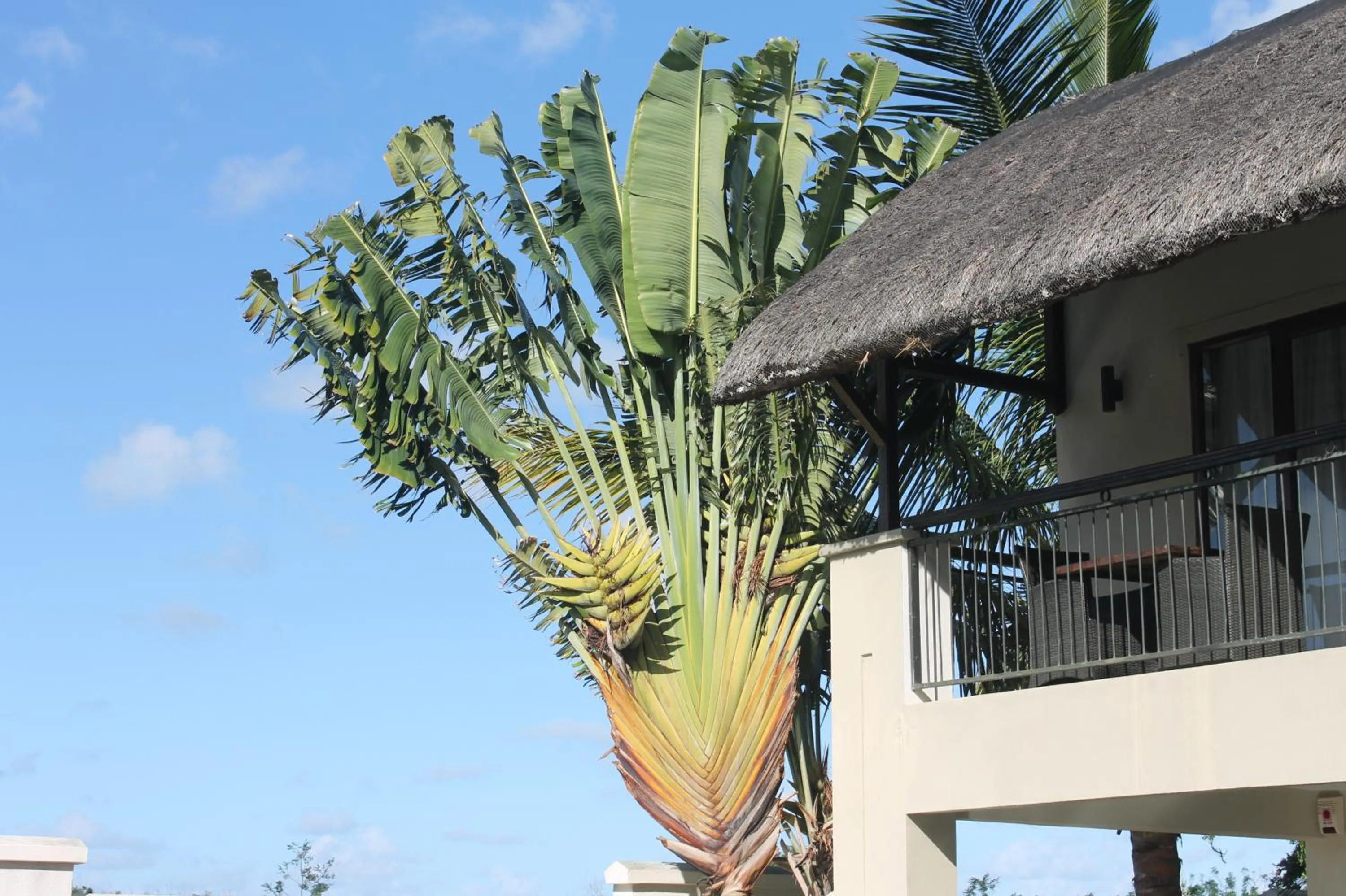 Facade/entrance in Grand Bay Suites
