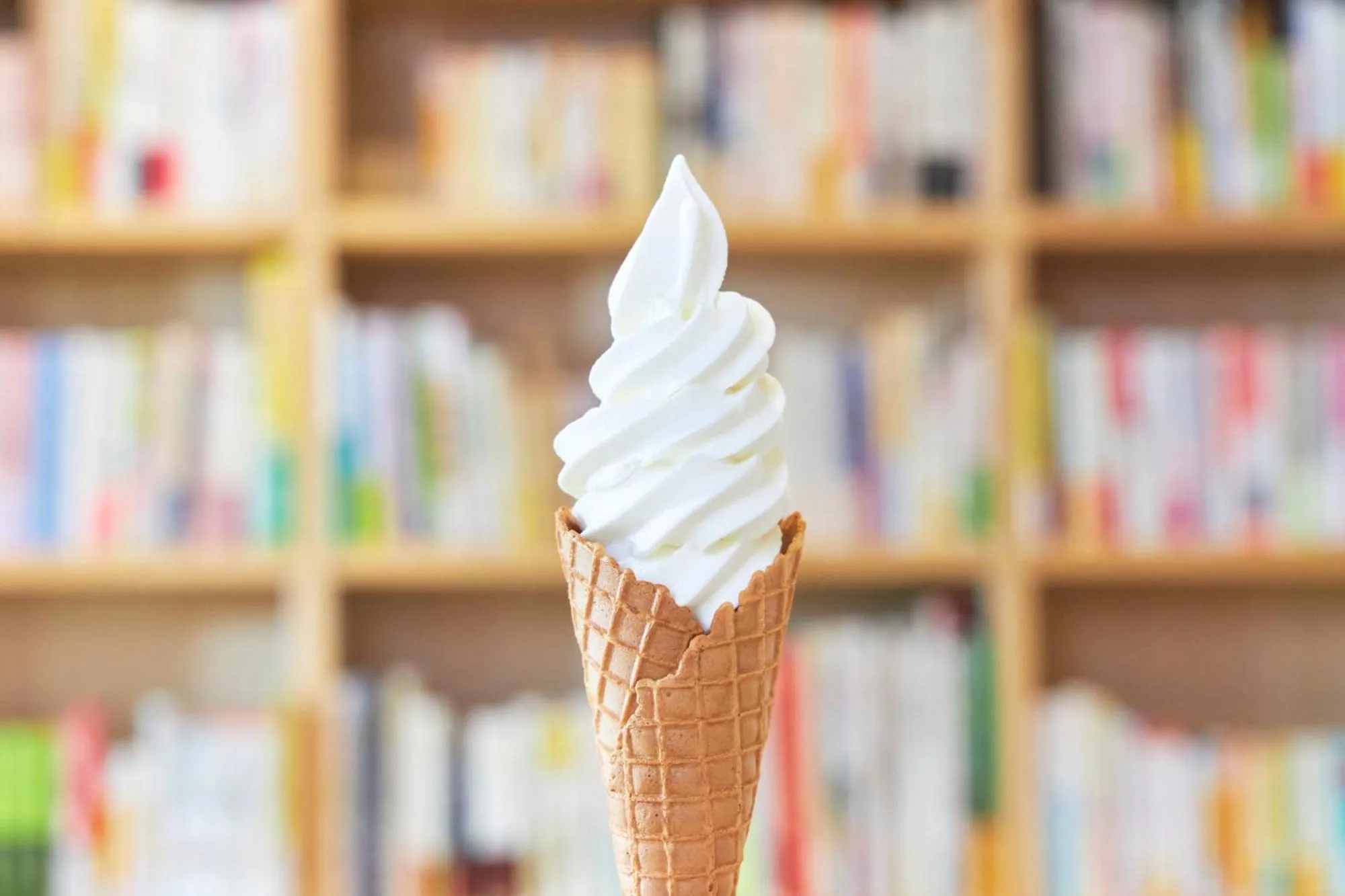 Area and facilities in Untapped Hostel