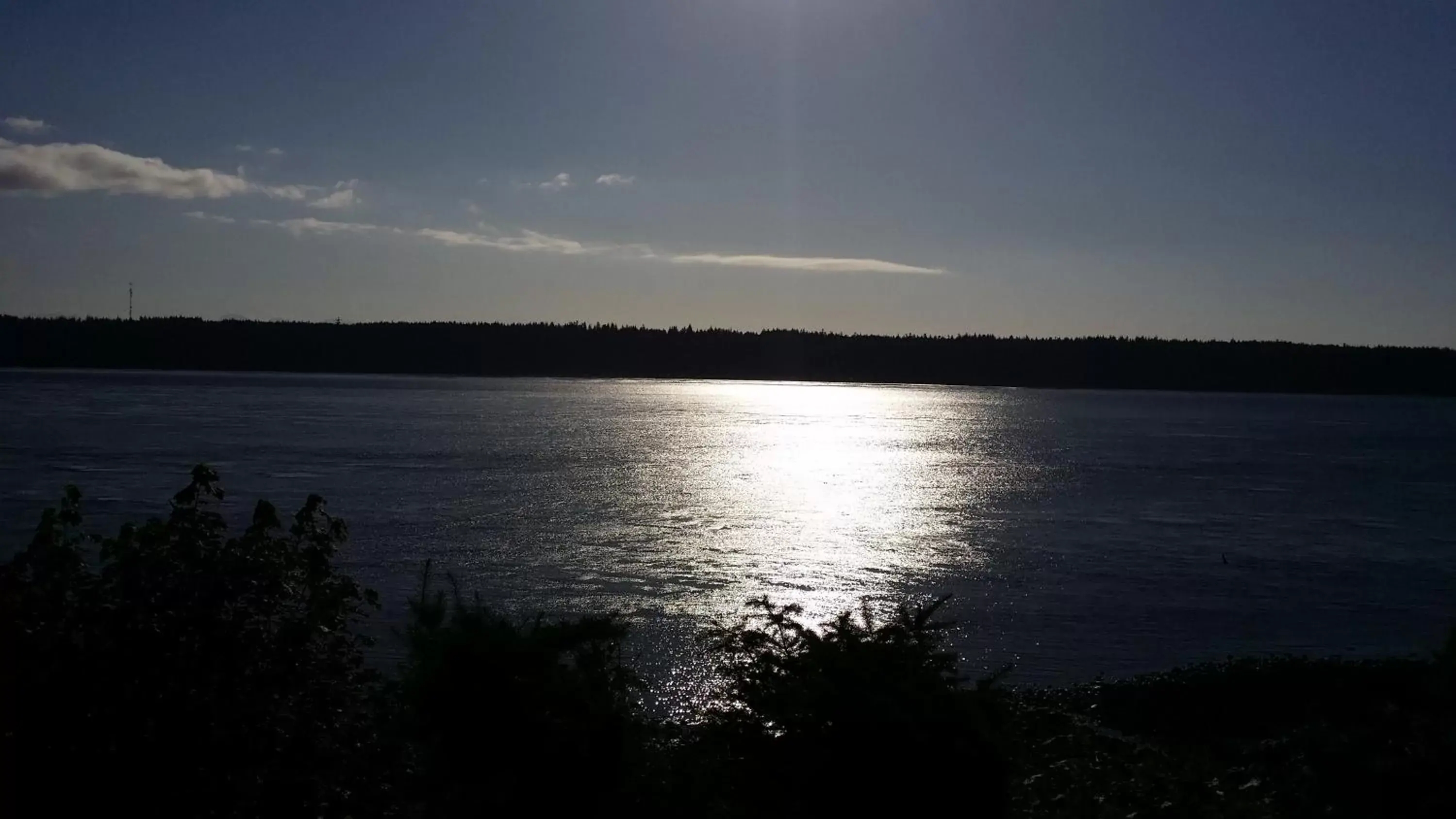 Natural landscape in Above Tide Motel