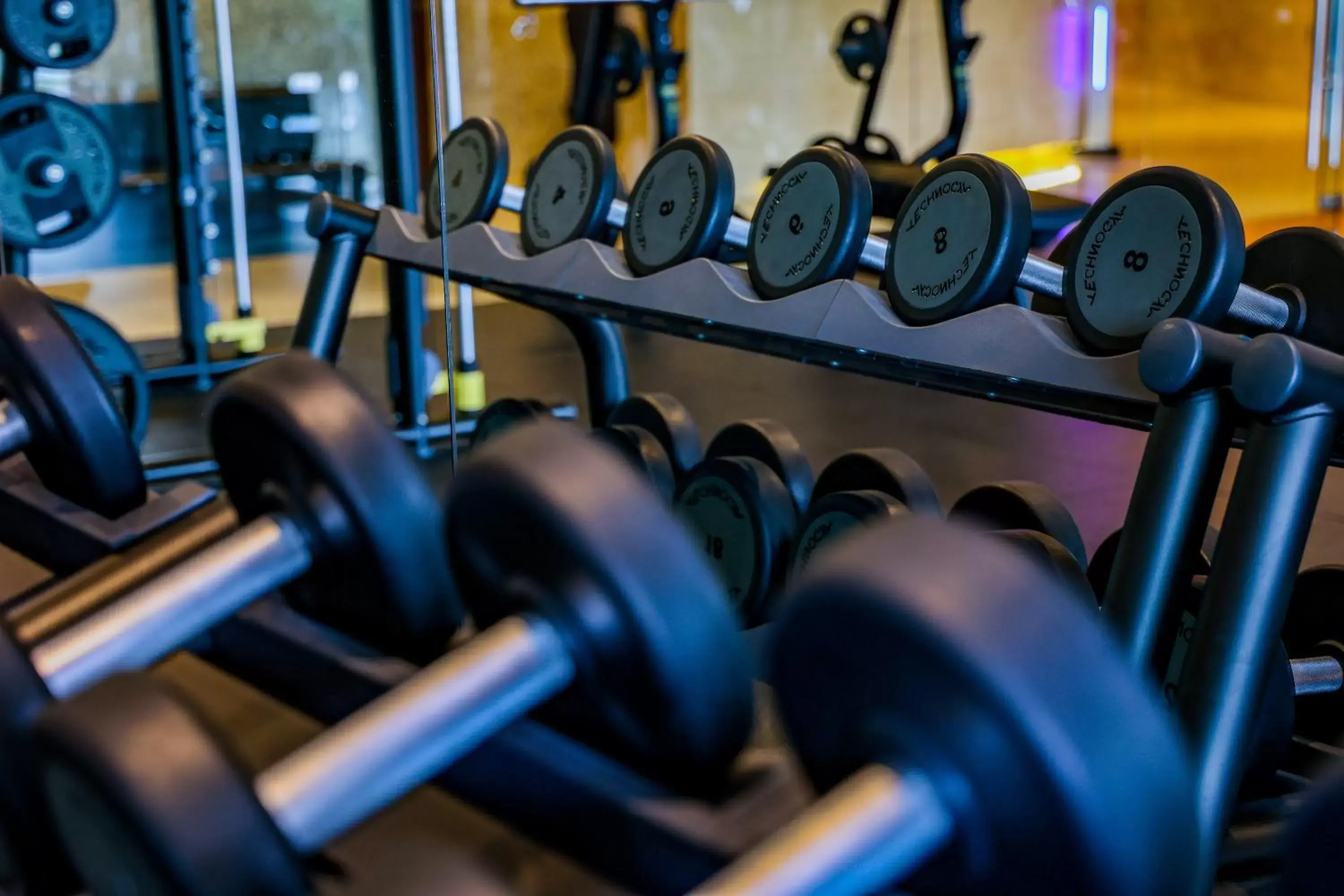 Fitness centre/facilities, Fitness Center/Facilities in LOTTE Hotel Yangon