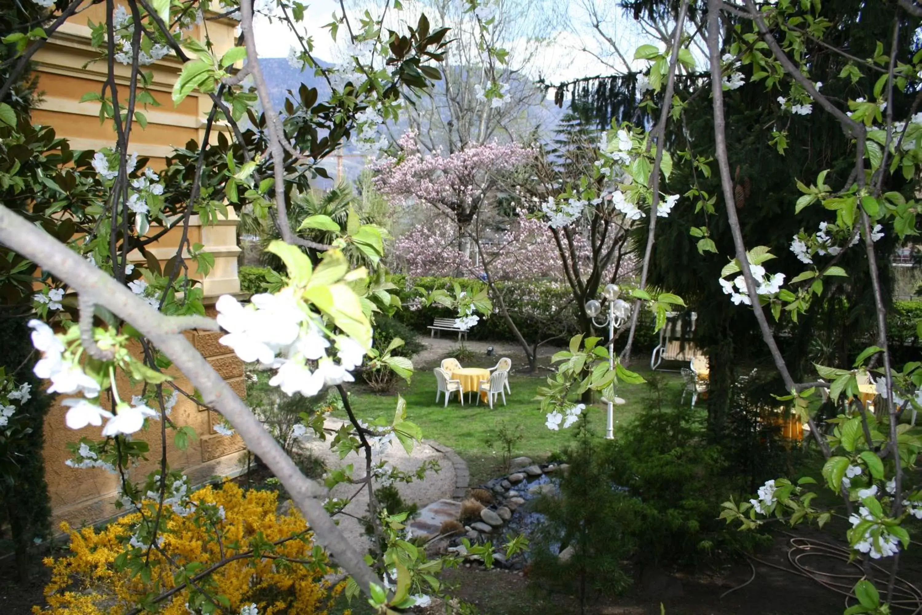 Garden in Hotel Villa Westend