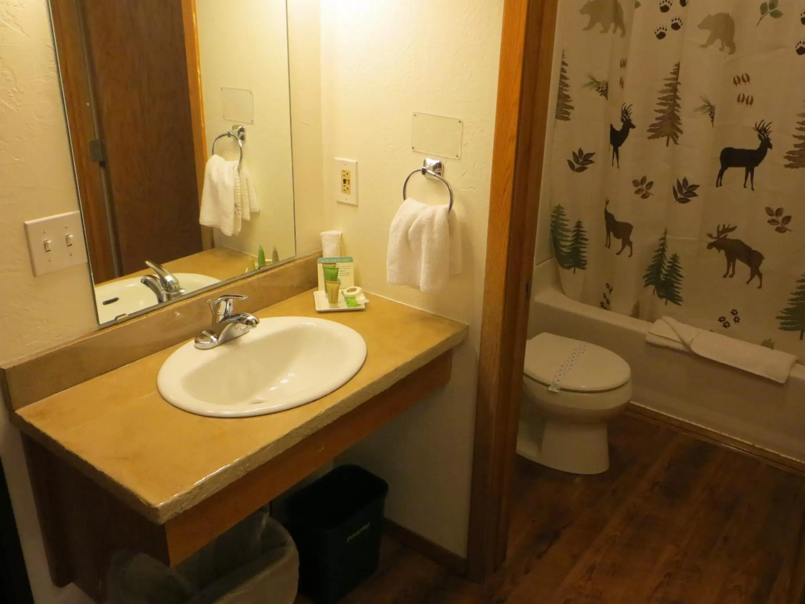 Bathroom in Open Hearth Lodge