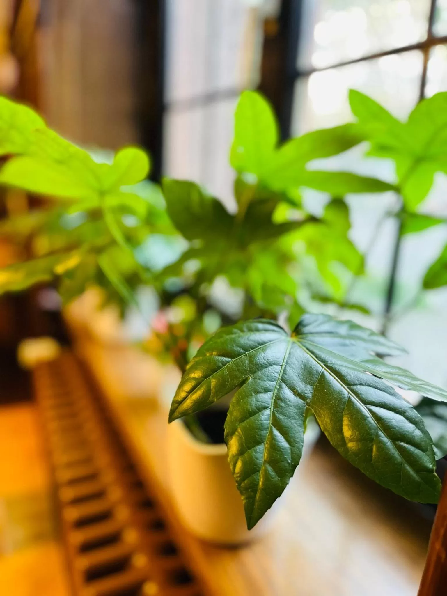 Seating area in Hotel Hoepfner Burghof
