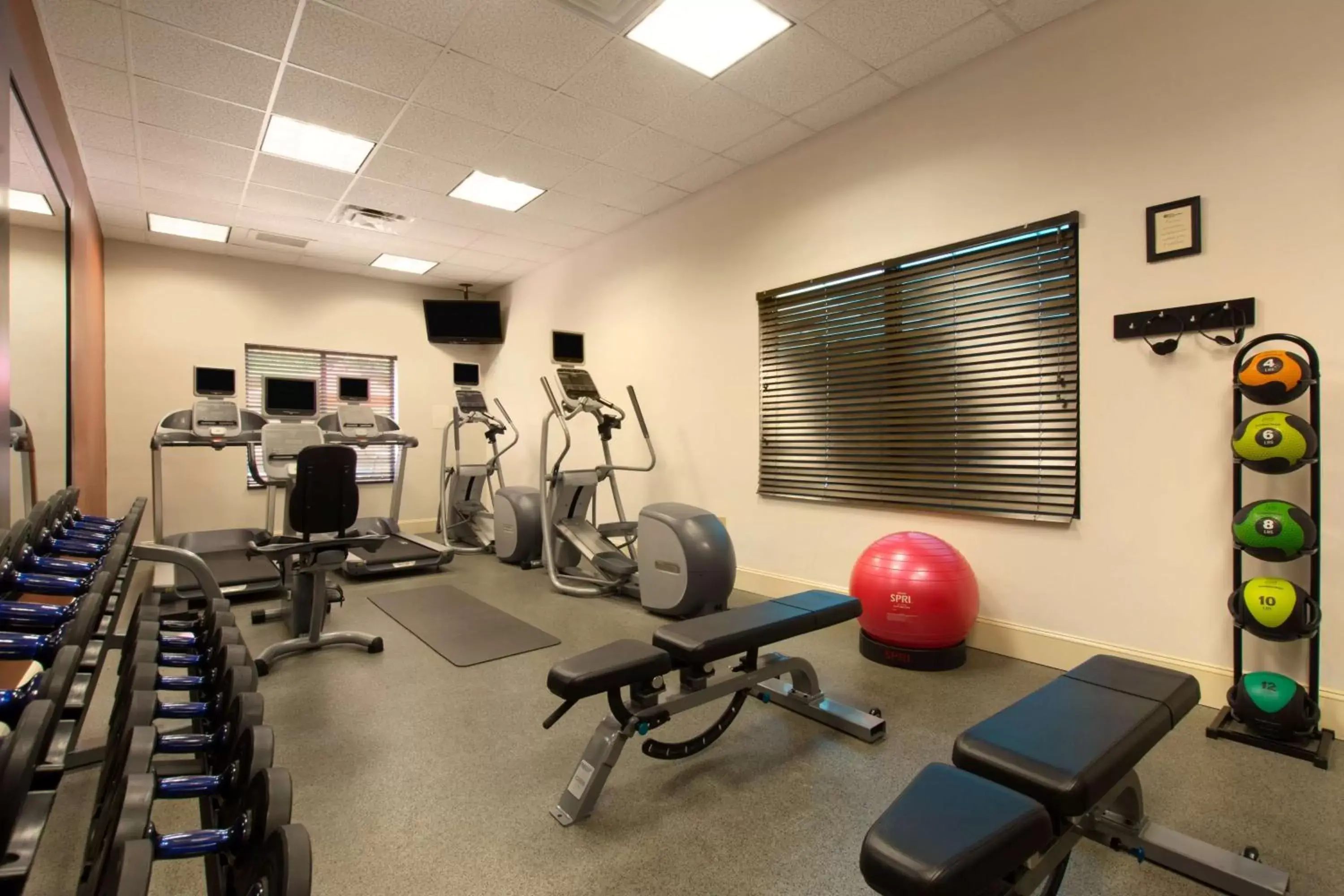 Fitness centre/facilities, Fitness Center/Facilities in Hilton Garden Inn Cartersville