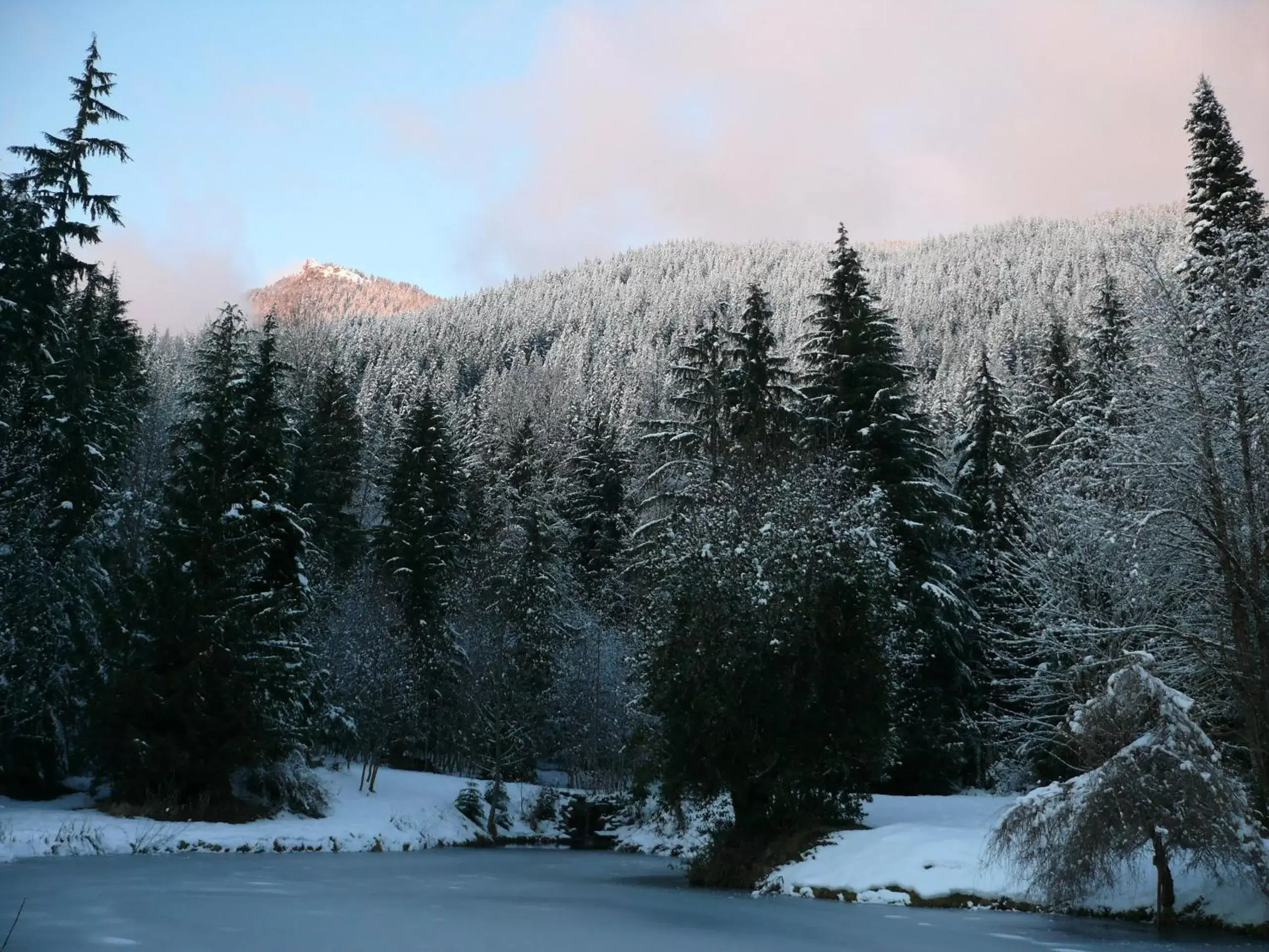 On site, Winter in Alexander's Lodge