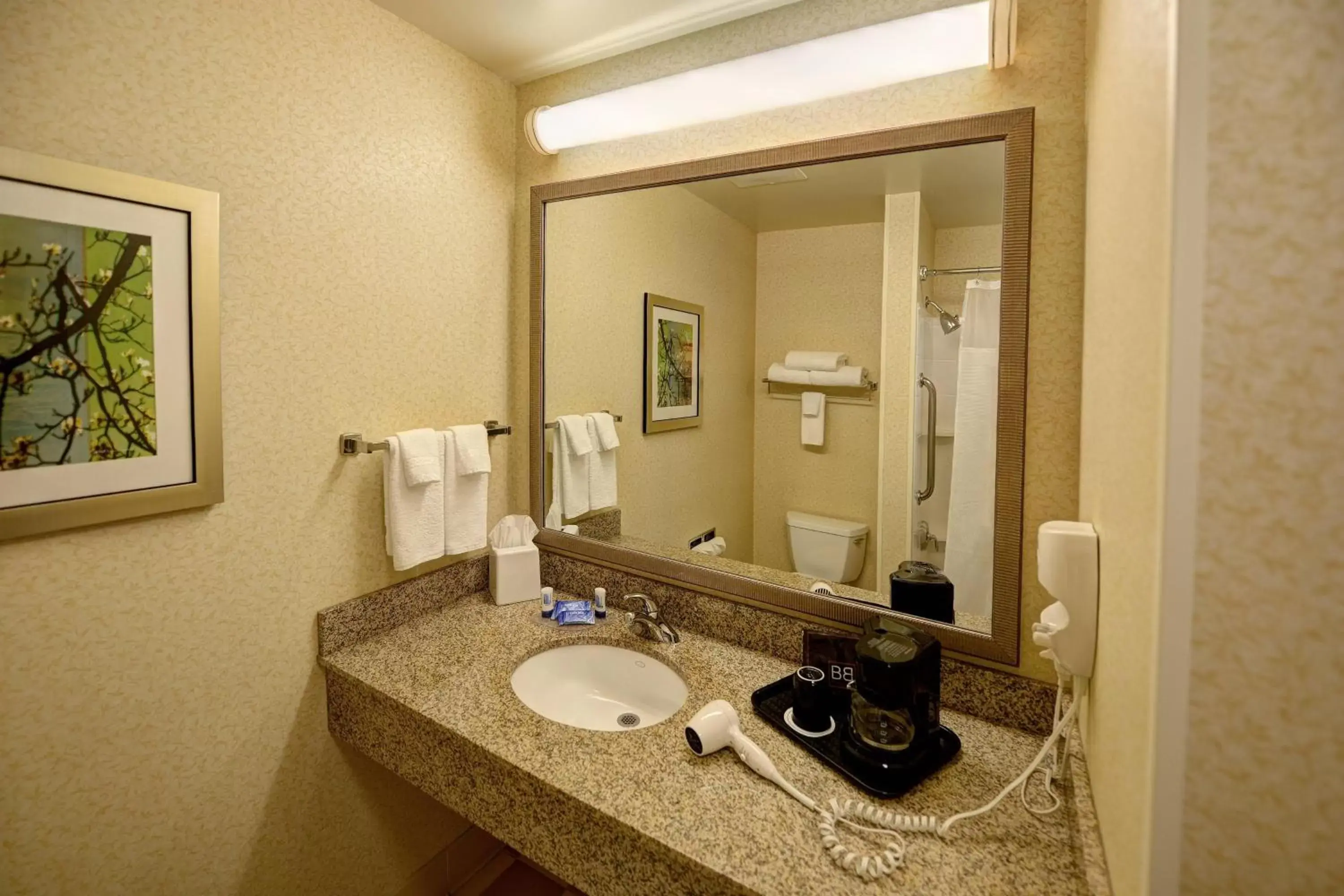 Bathroom in Fairfield Inn & Suites by Marriott Wausau