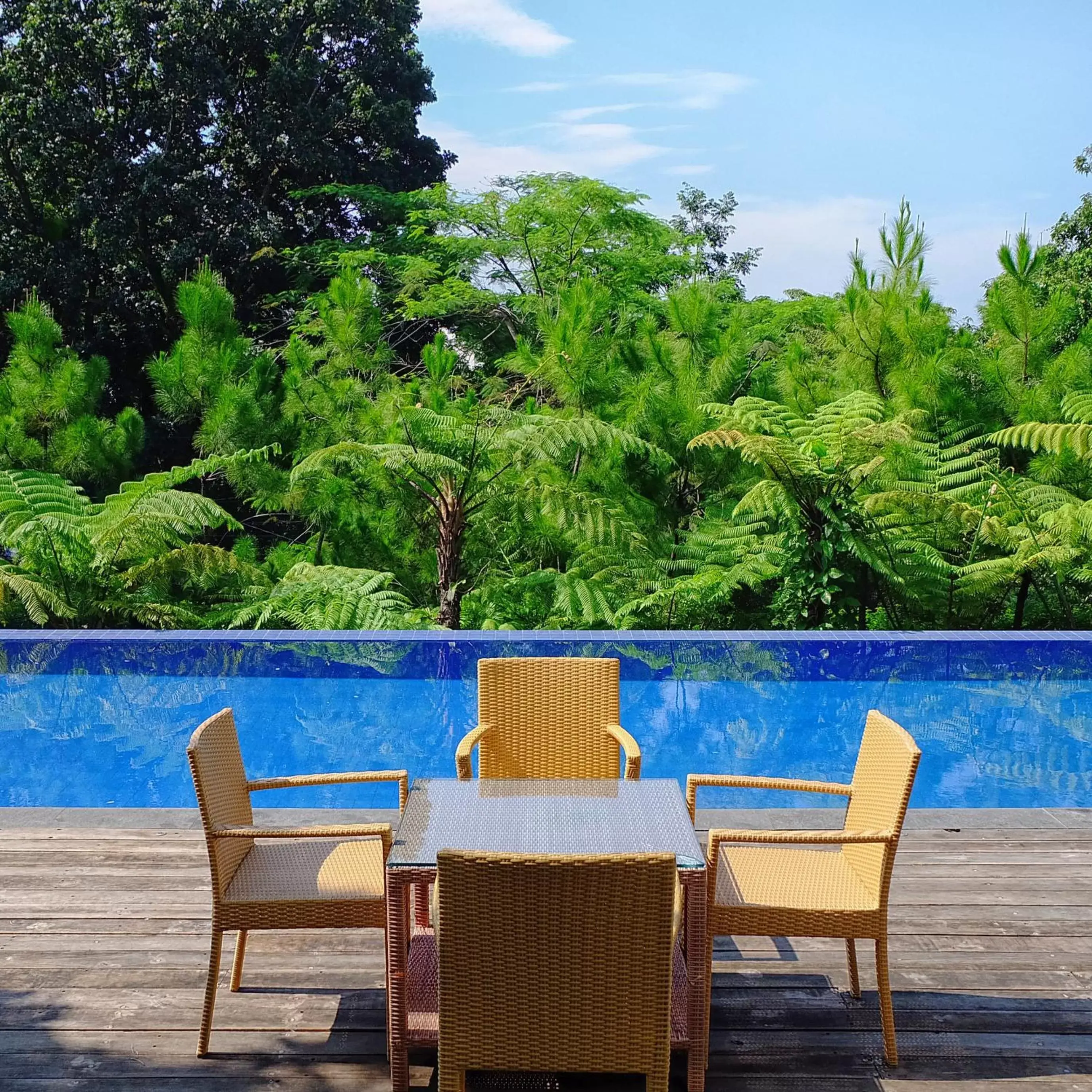 Swimming Pool in House Sangkuriang