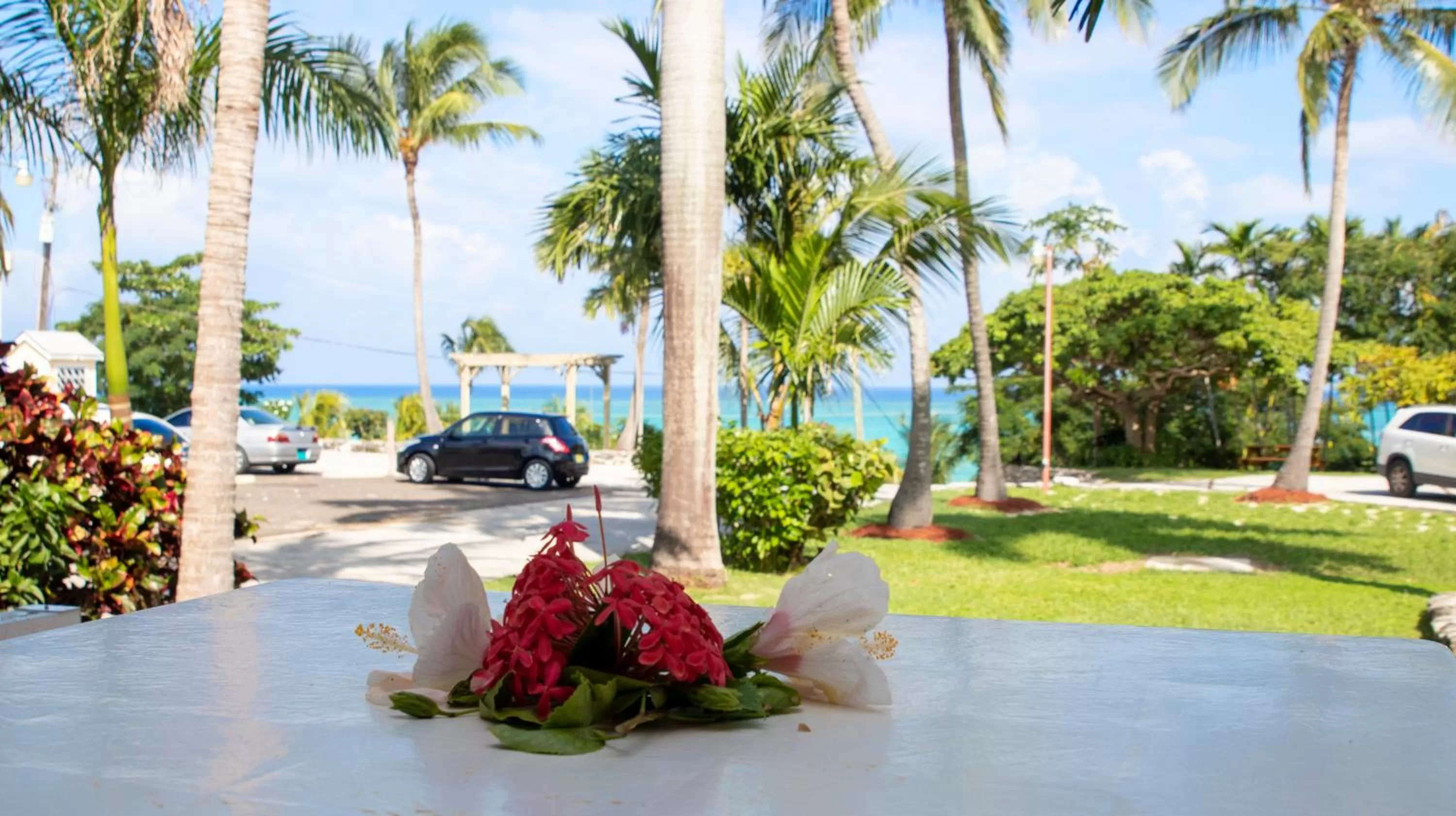 Orange Hill Beach Inn