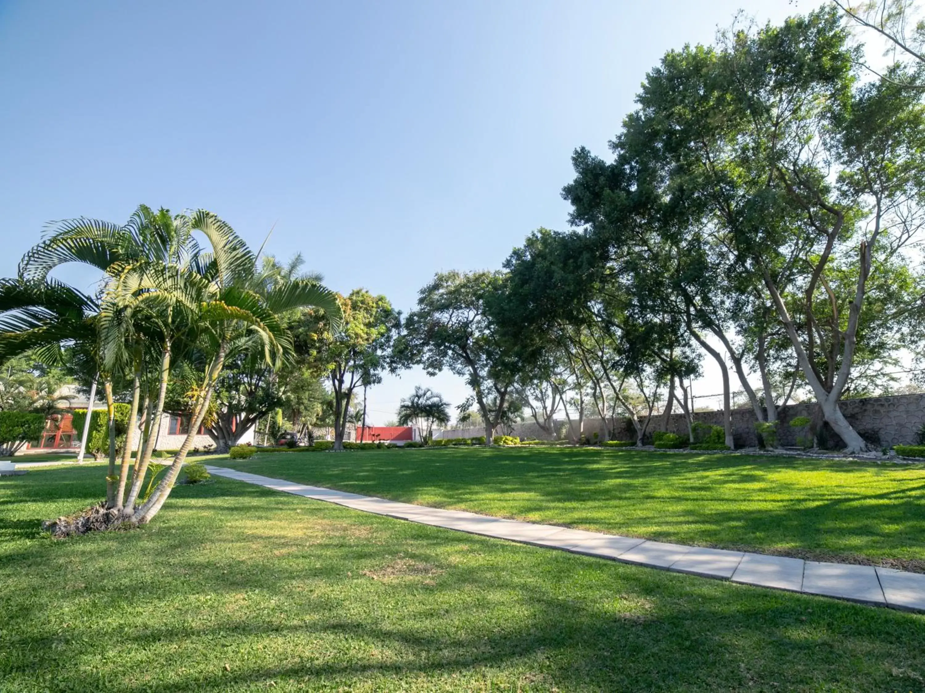 Garden in Hotel Teques Palace