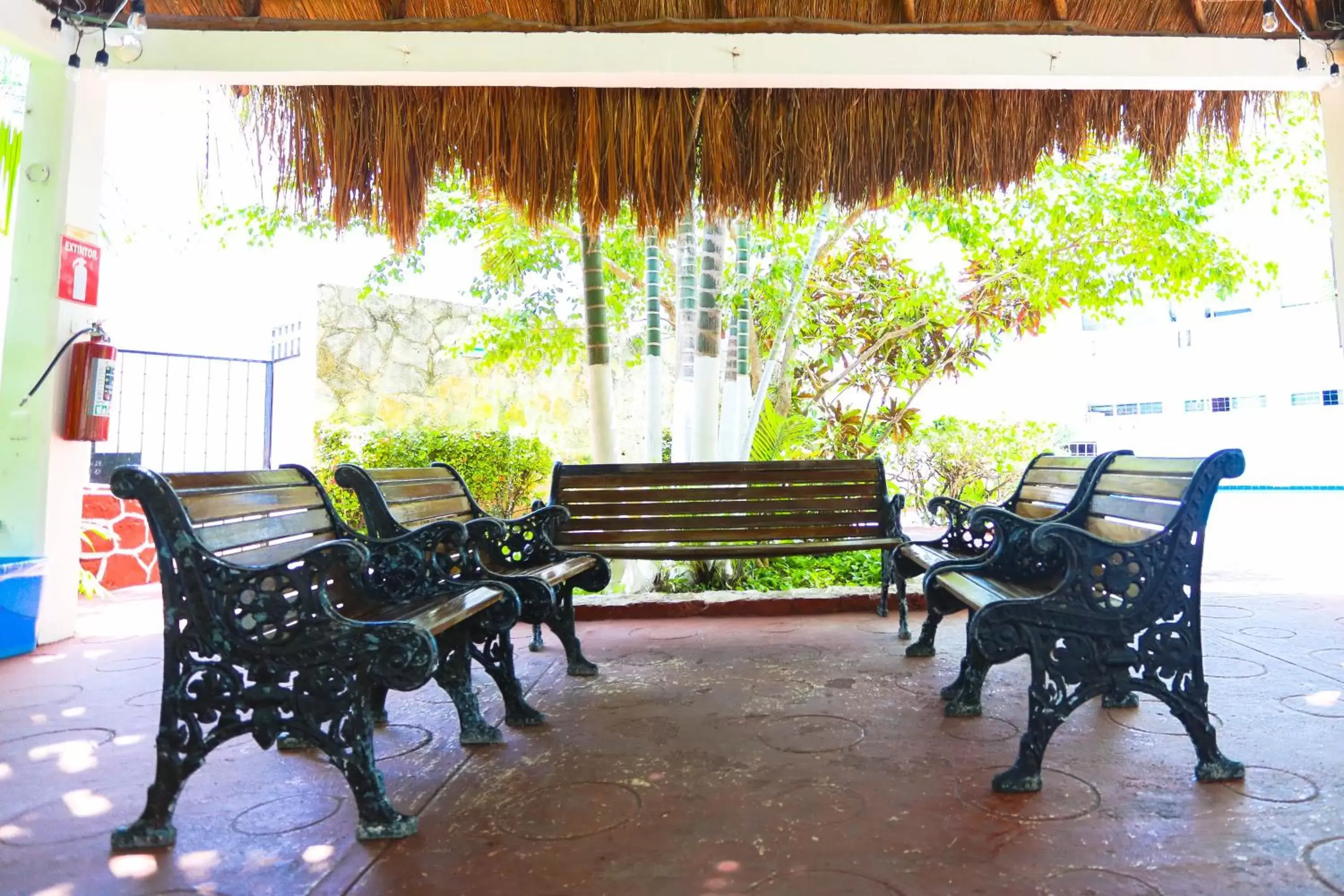 Garden in Hotel Caribe Internacional Cancun