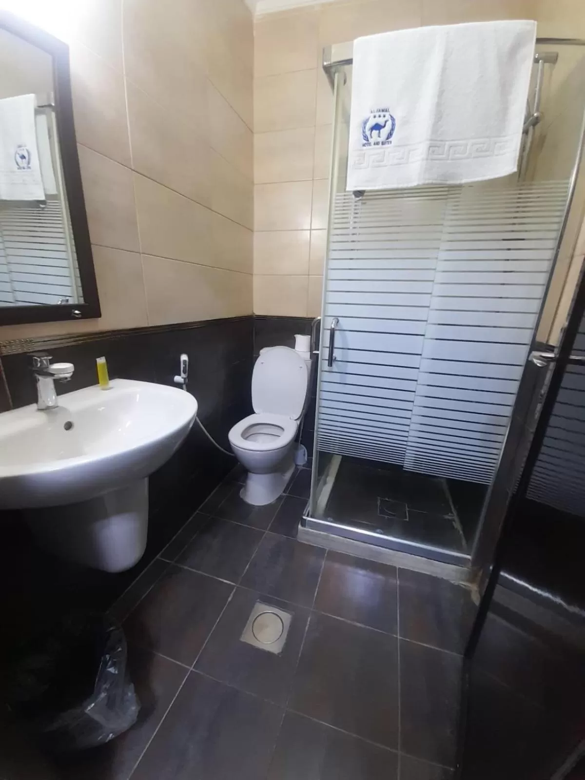 Shower in Al Jamal Suites