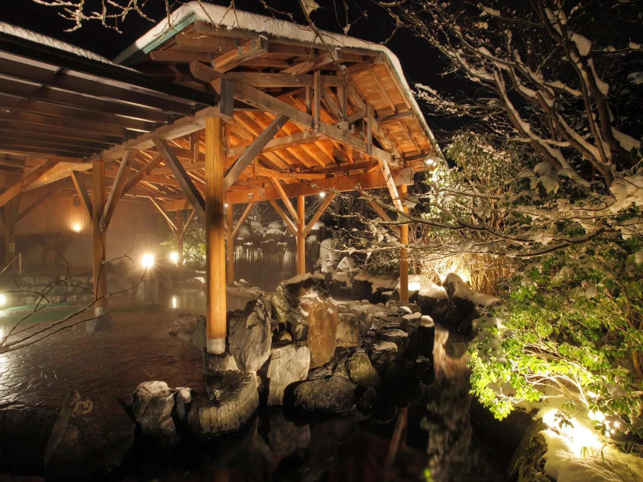 Night in Hotel Epinard Nasu