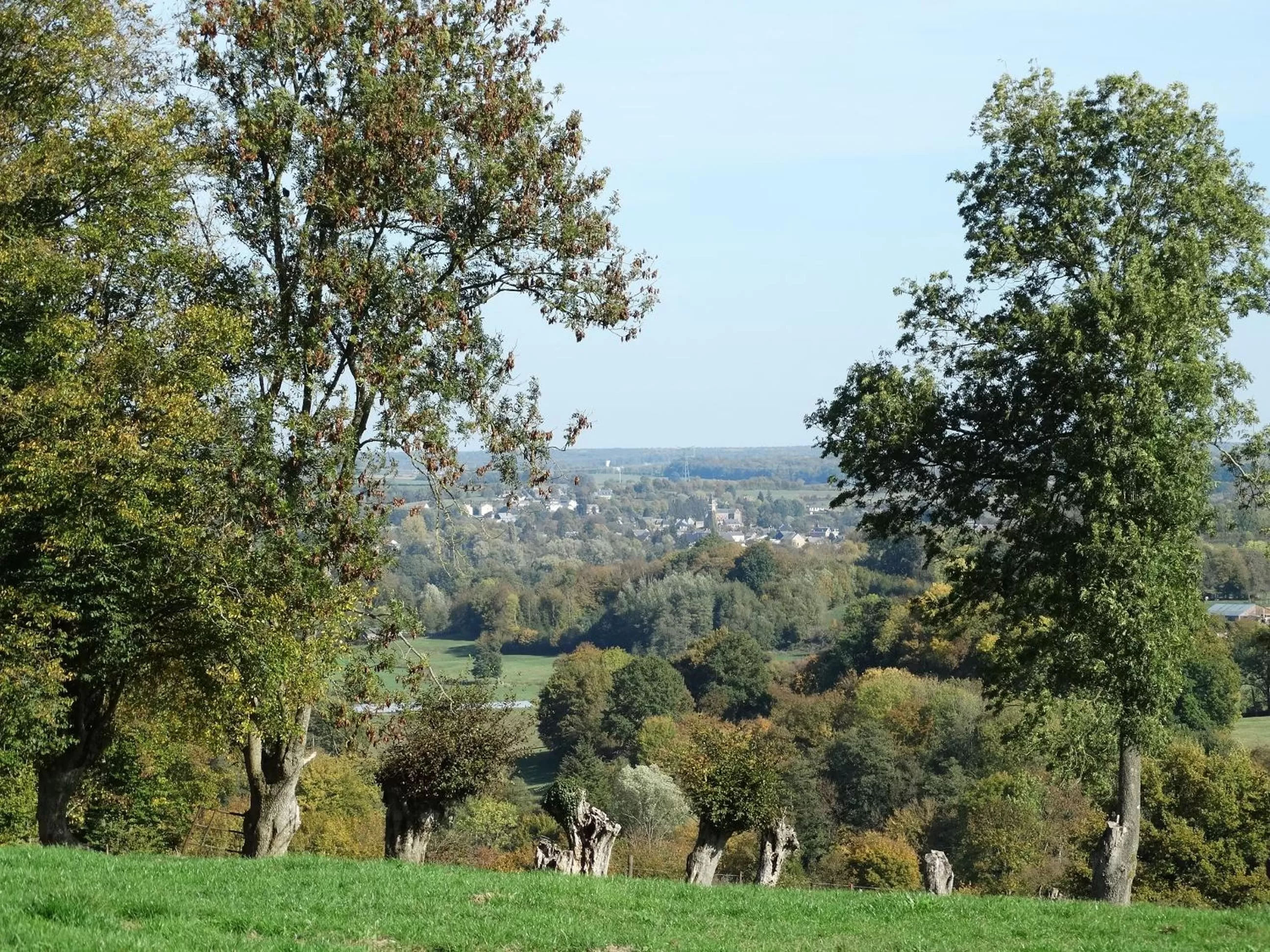 Natural landscape in La Vannerie