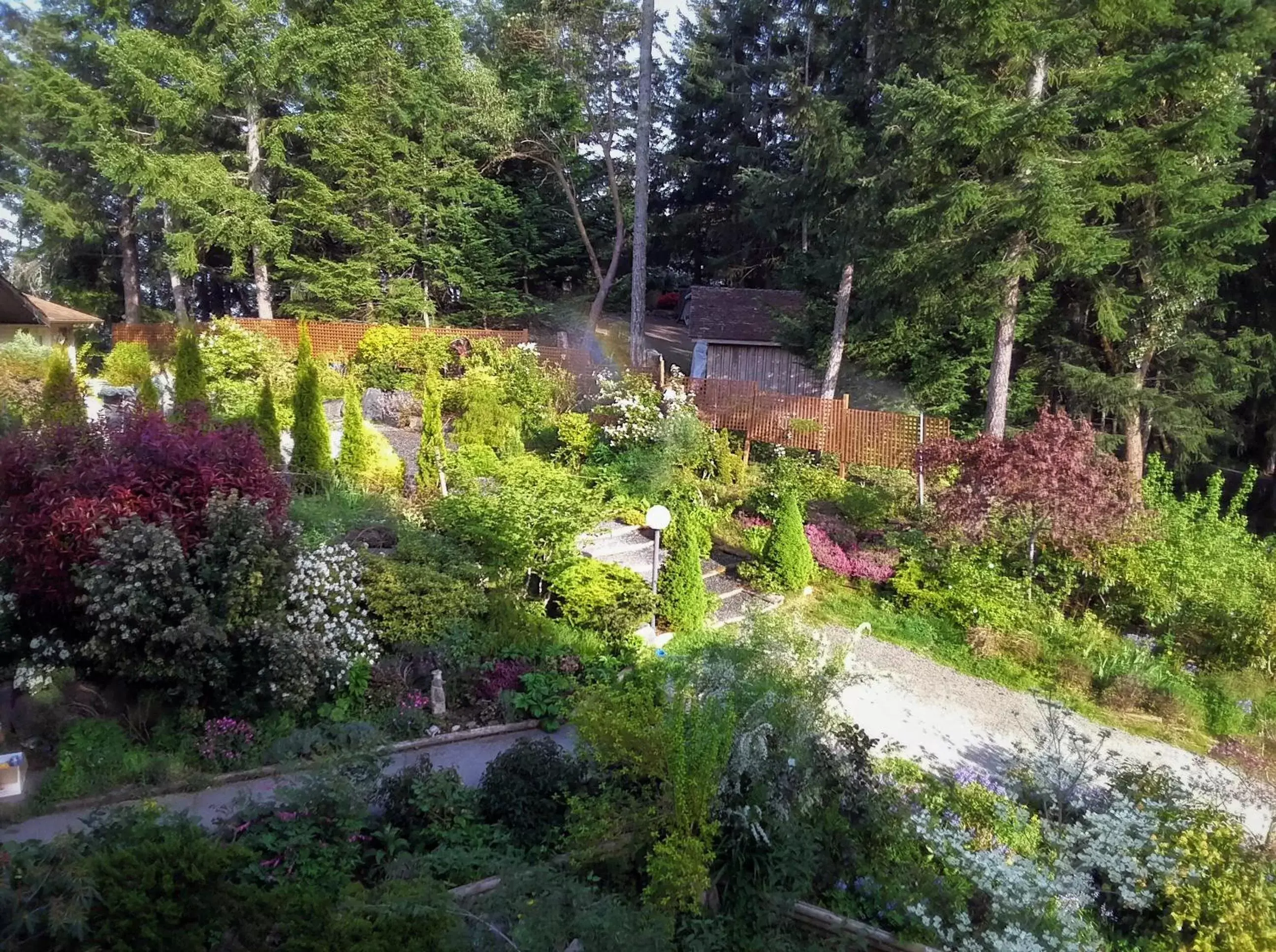 Garden, Natural Landscape in Armand Heights