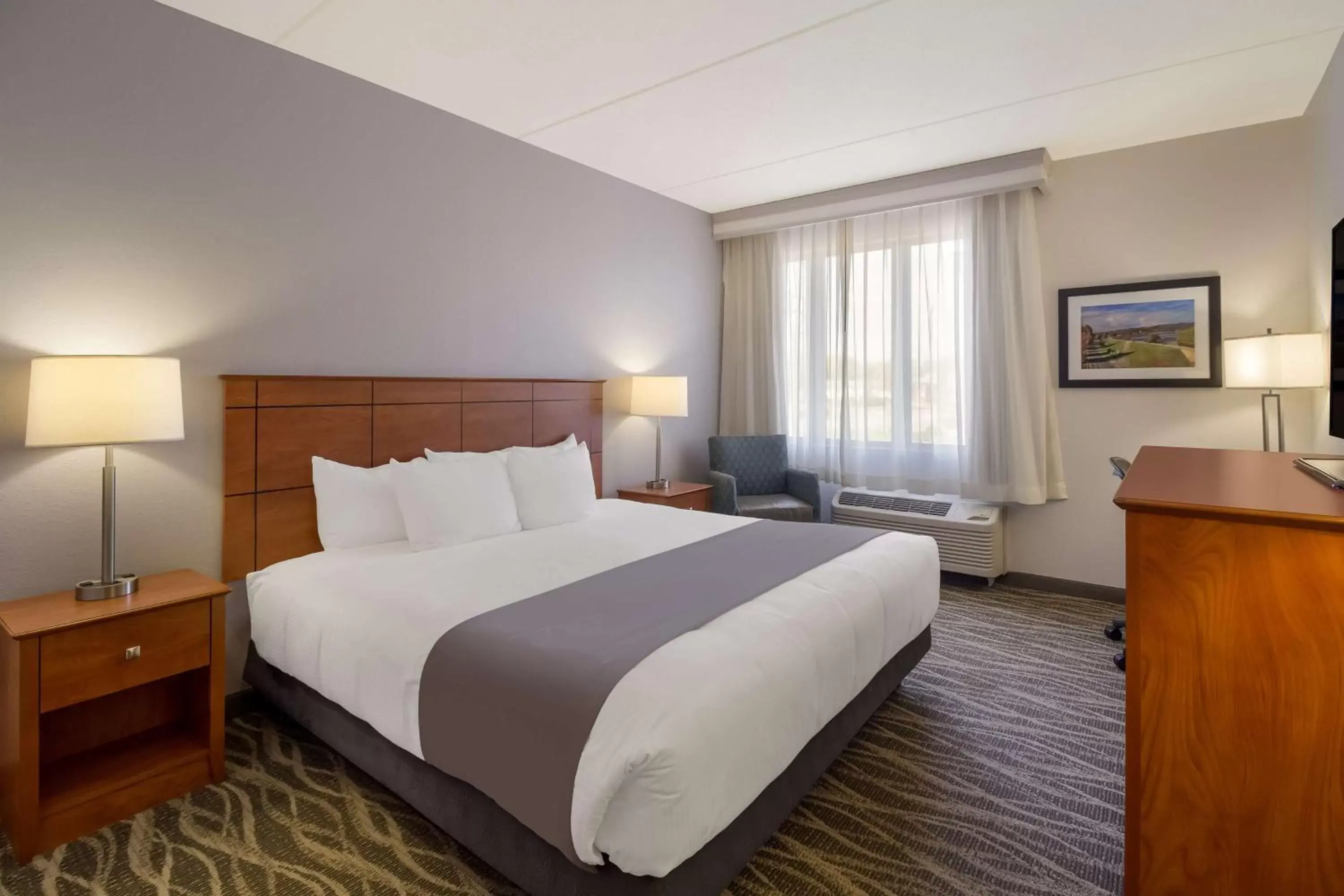 Bedroom, Bed in Best Western Lock Haven Bedroom, Bed in Best Western Lock Haven