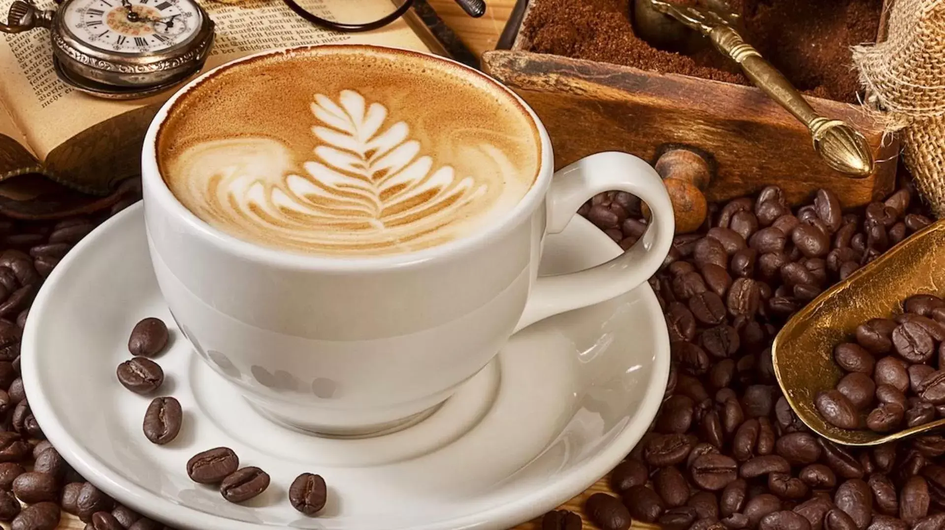 Restaurant/places to eat in White Mansion 白色公馆 Restaurant/places to eat in White Mansion 白色公馆