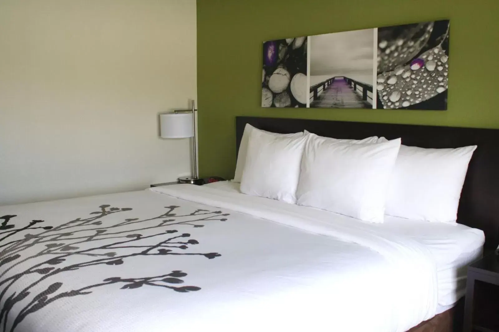 Bed in Sleep Inn & Suites Galion
