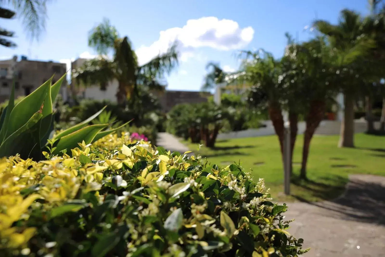 Garden in Residence Hotel La Giara