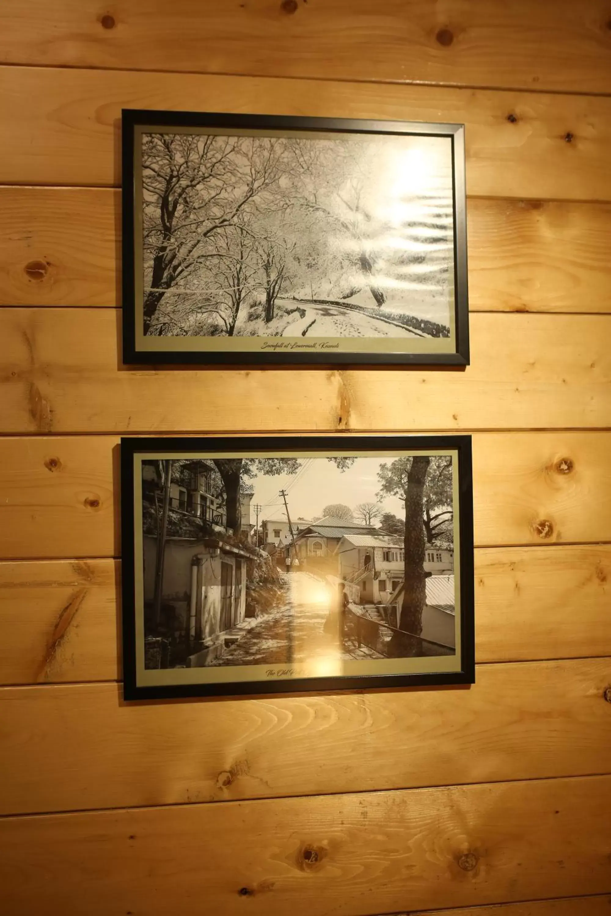 Bedroom in Kasauli Hills Resort