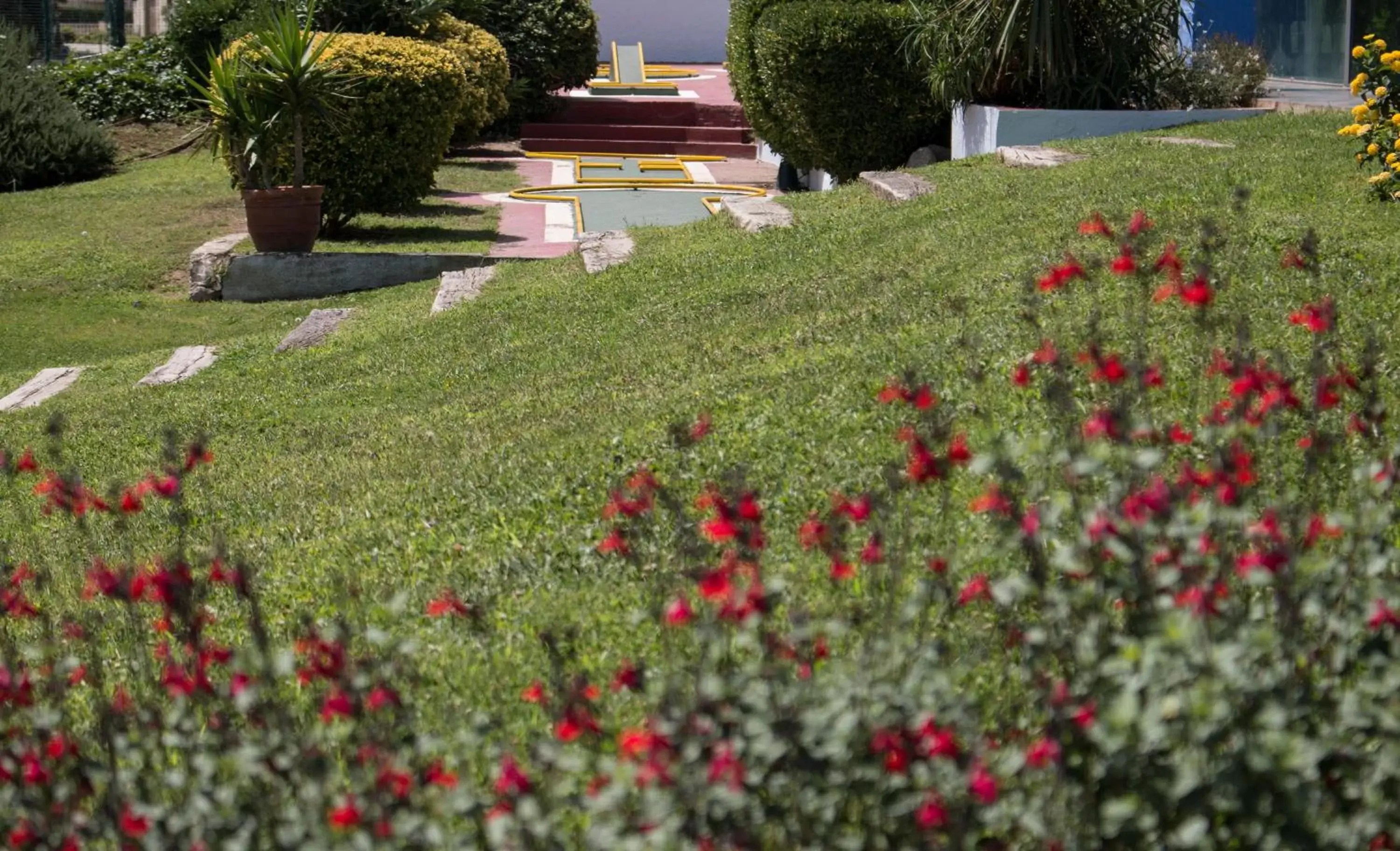 Garden in Xon's Platja HA