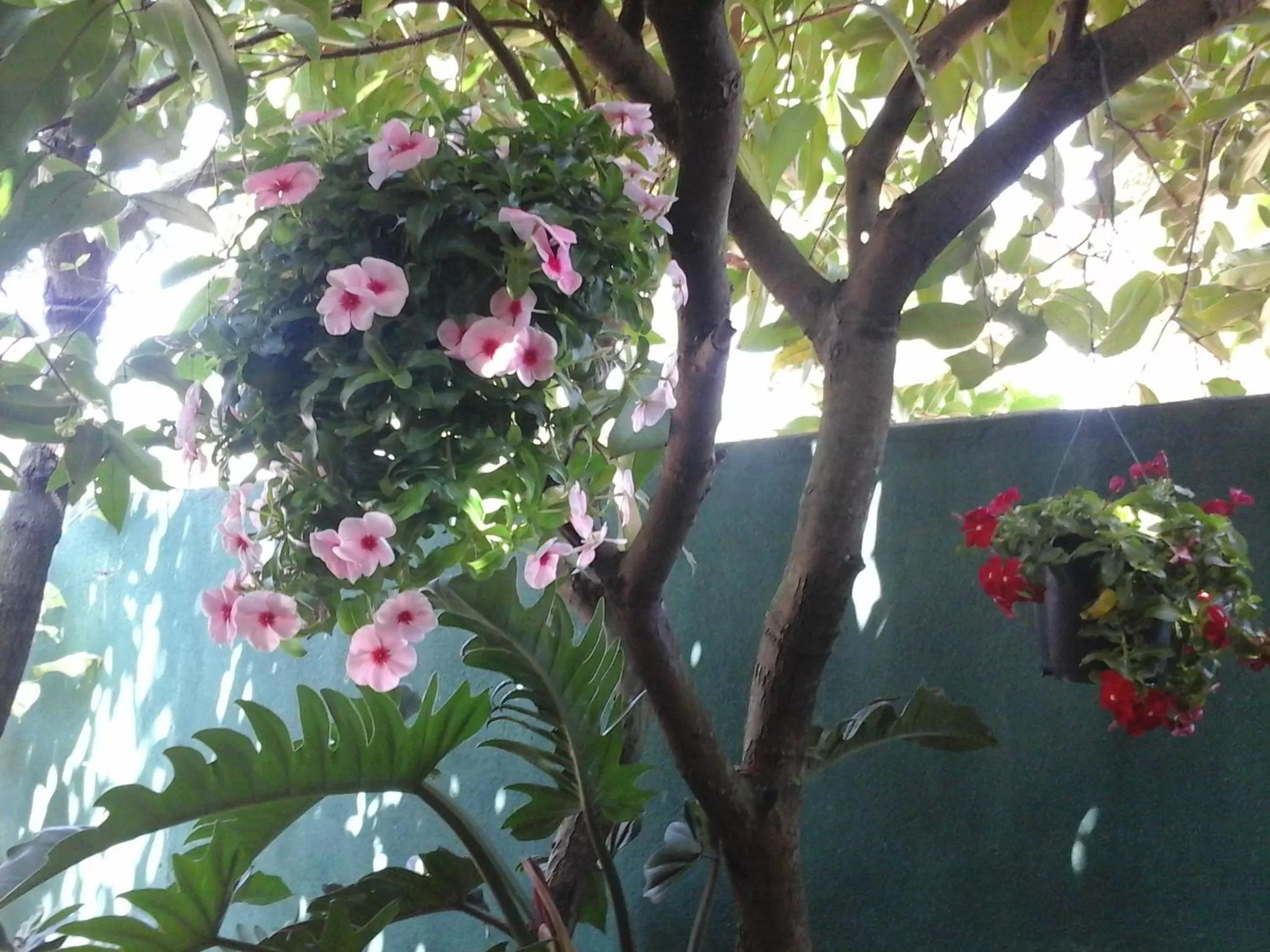 Other in House Of Esanya