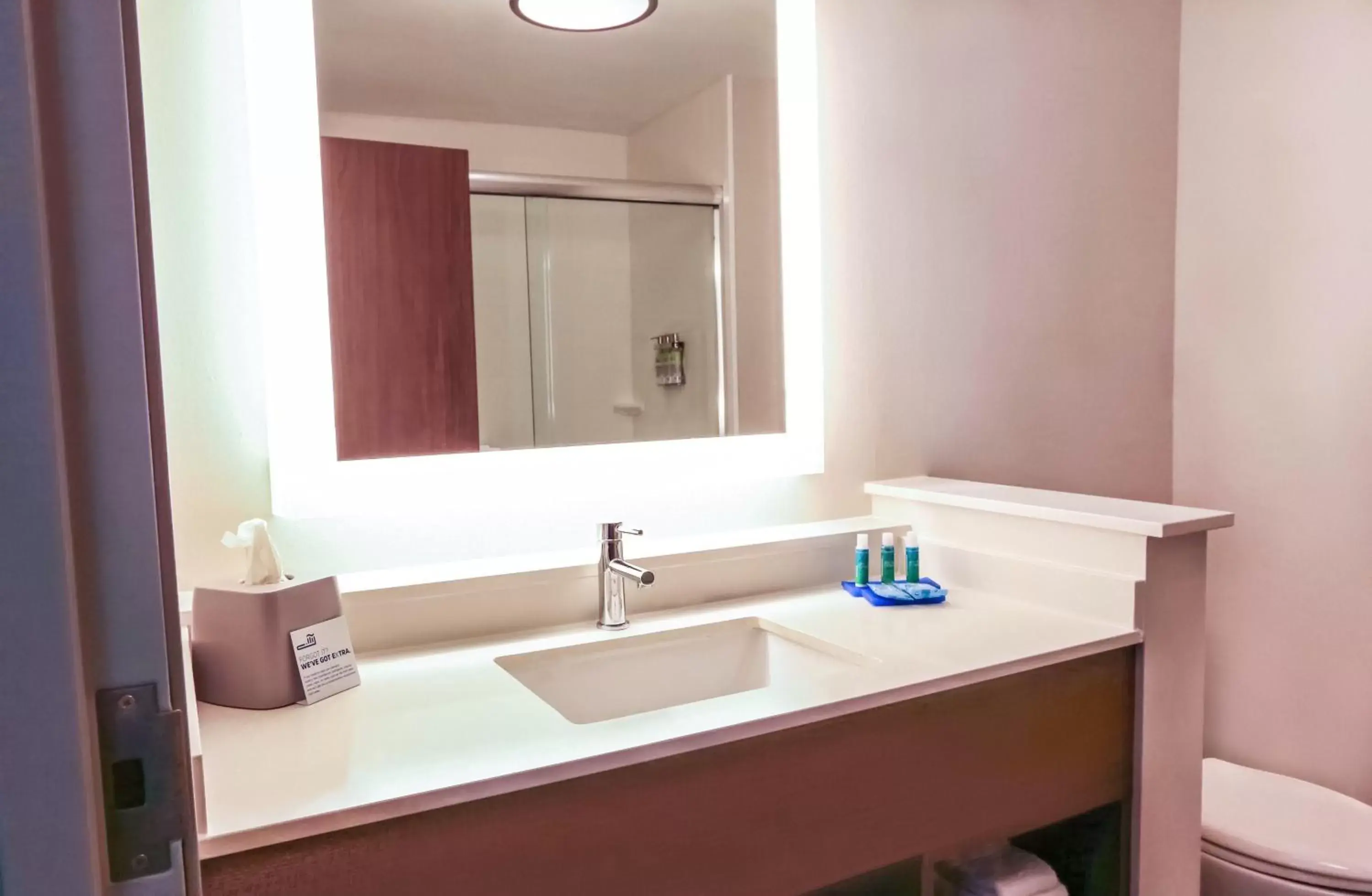 Bathroom in Holiday Inn Express & Suites - Houston IAH - Beltway 8, an IHG Hotel