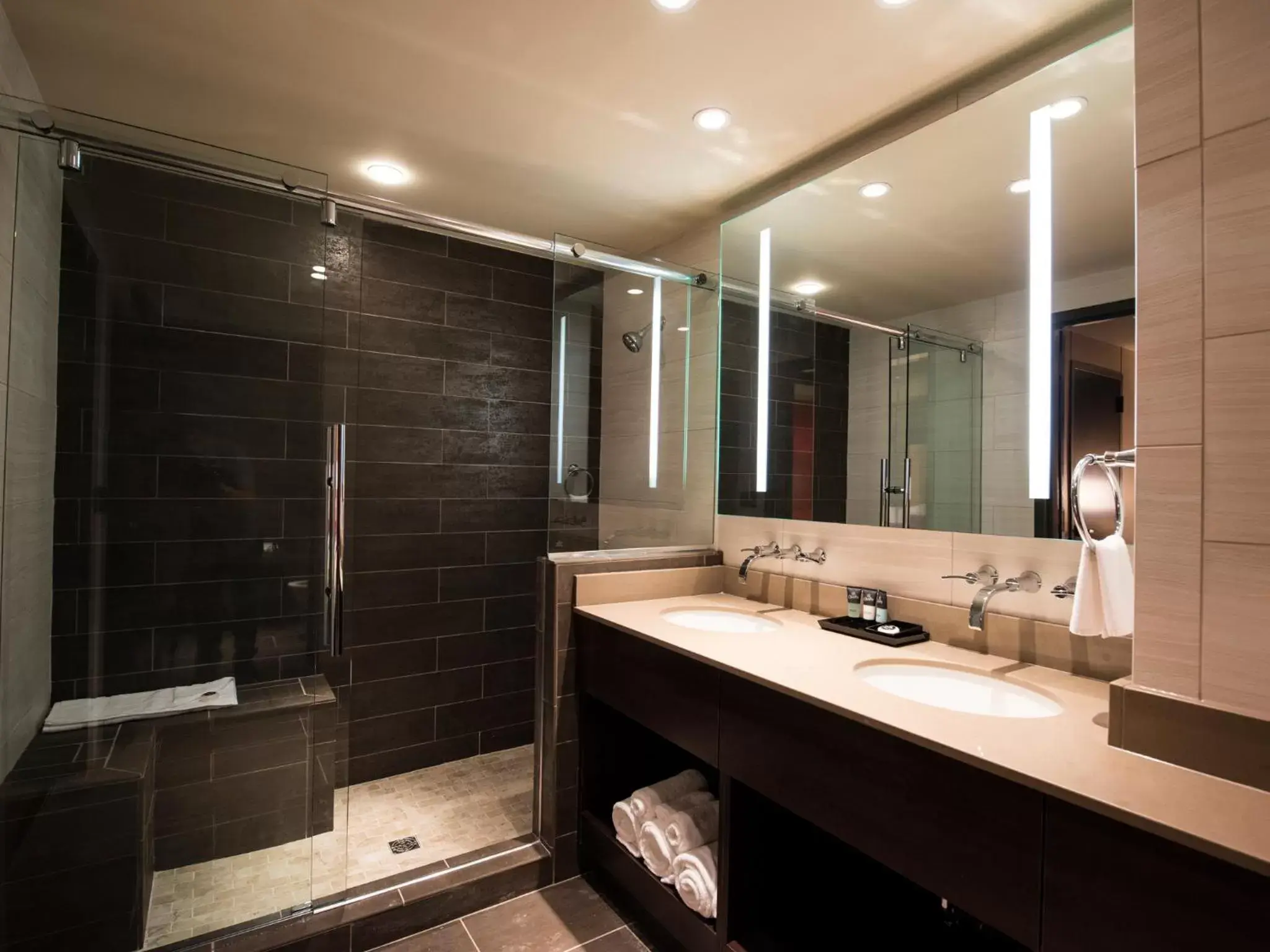 Shower, Bathroom in Cherokee Casino Hotel Roland