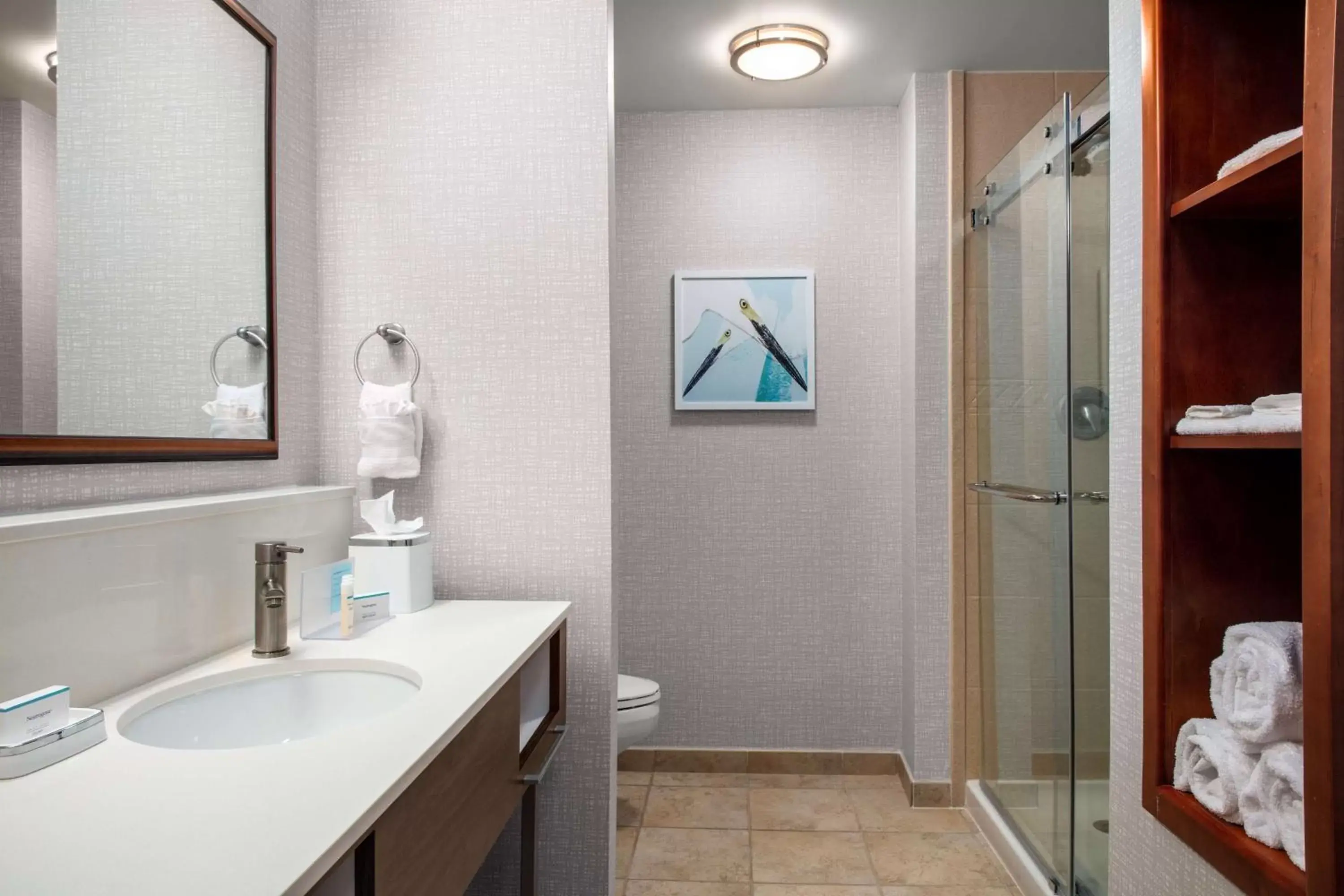 Bathroom in Hampton Inn & Suites Homestead Miami South