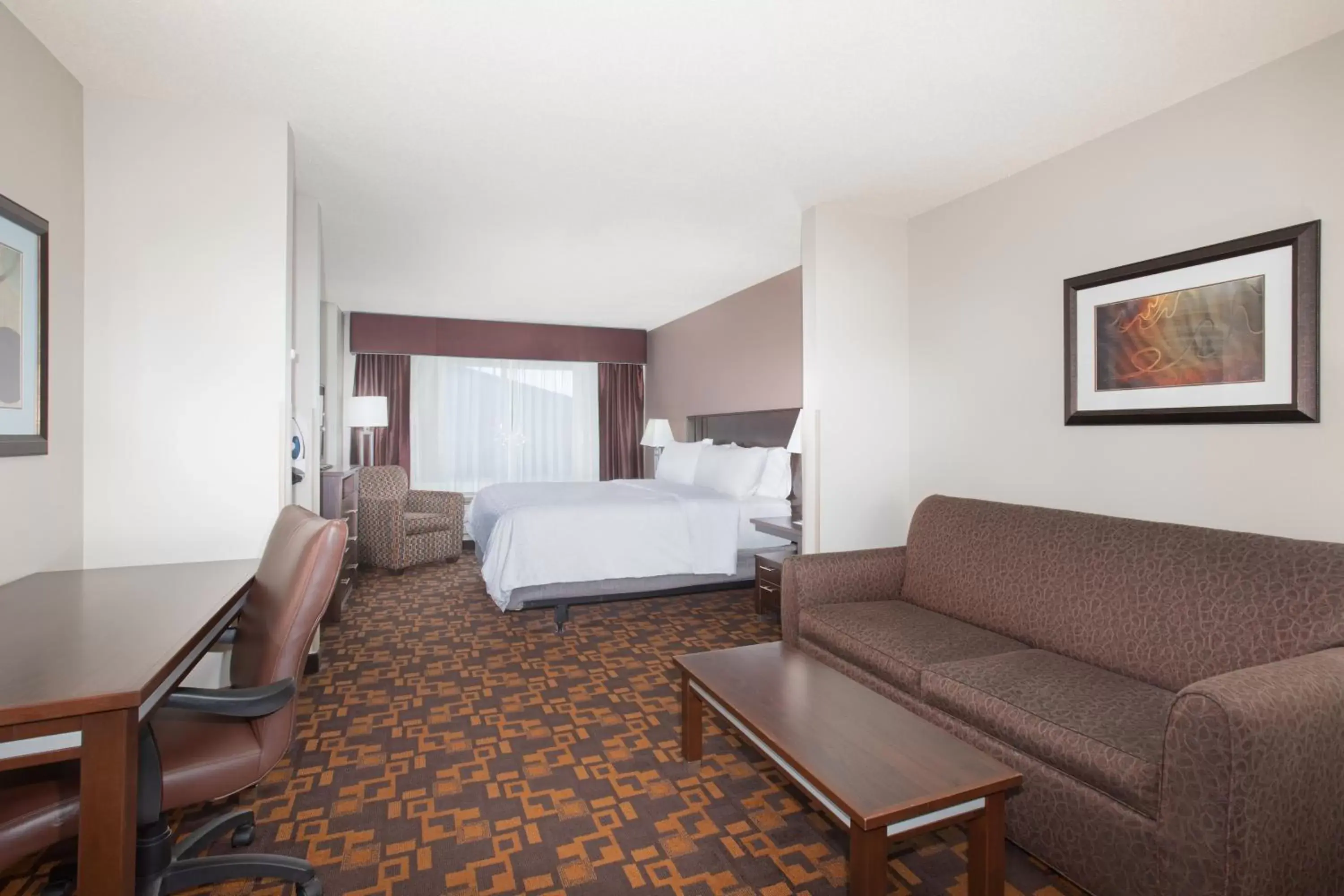 Photo of the whole room in Holiday Inn Express & Suites Yankton, an IHG Hotel