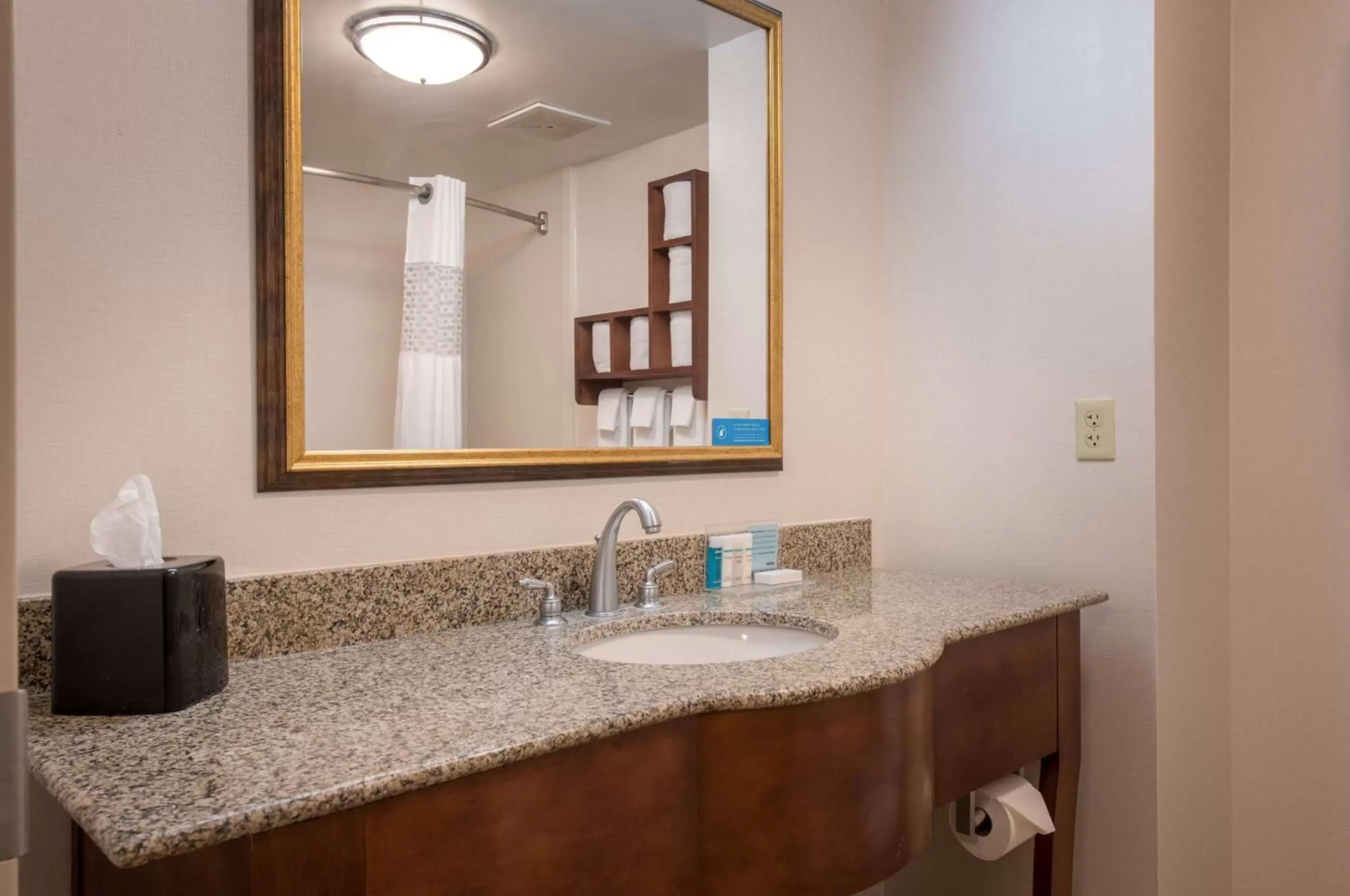 Bathroom in Hampton Inn & Suites Jekyll Island