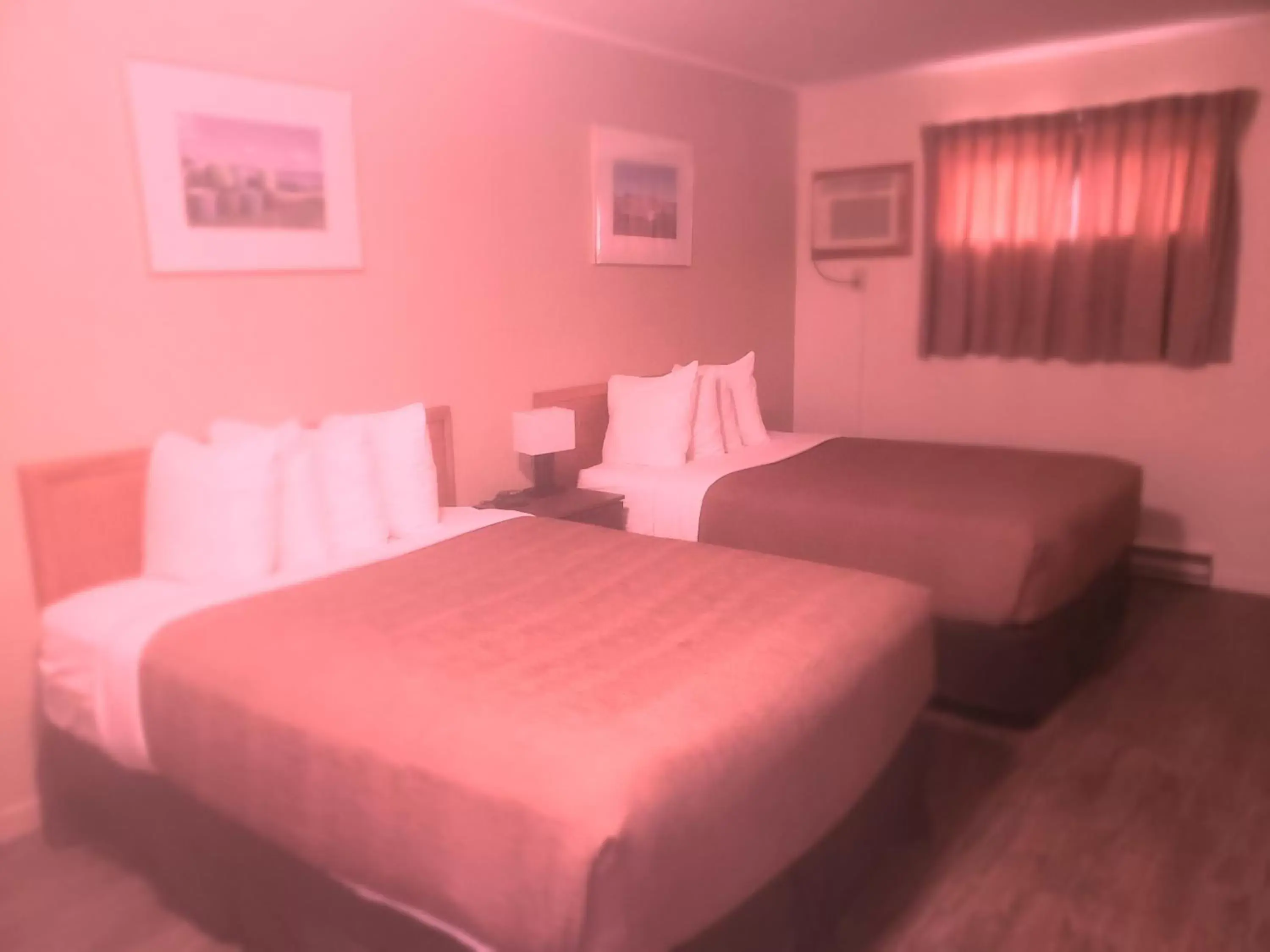 Photo of the whole room, Bed in Wildwood Motel