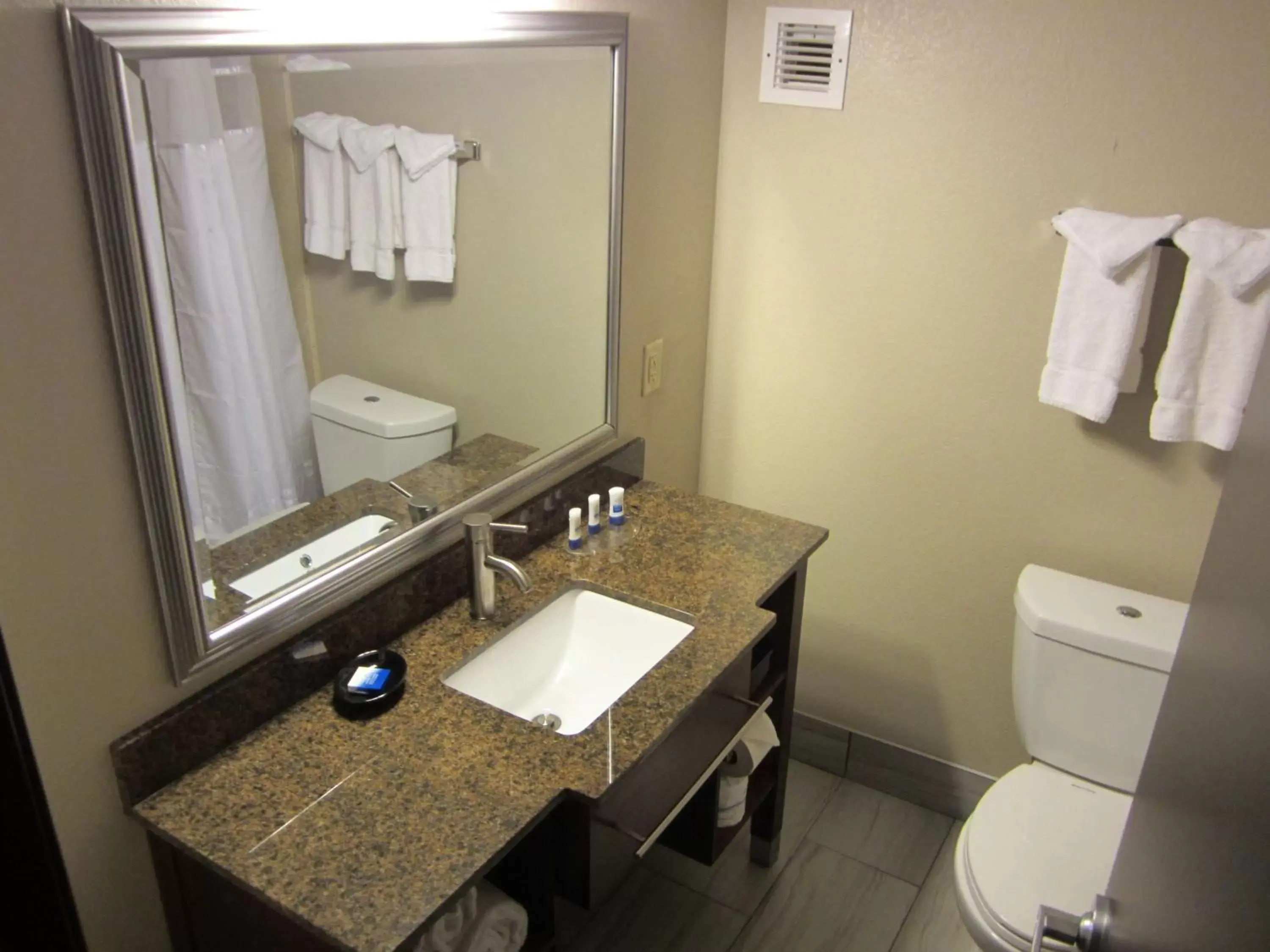 Bathroom in Best Western Plus Sunrise Inn