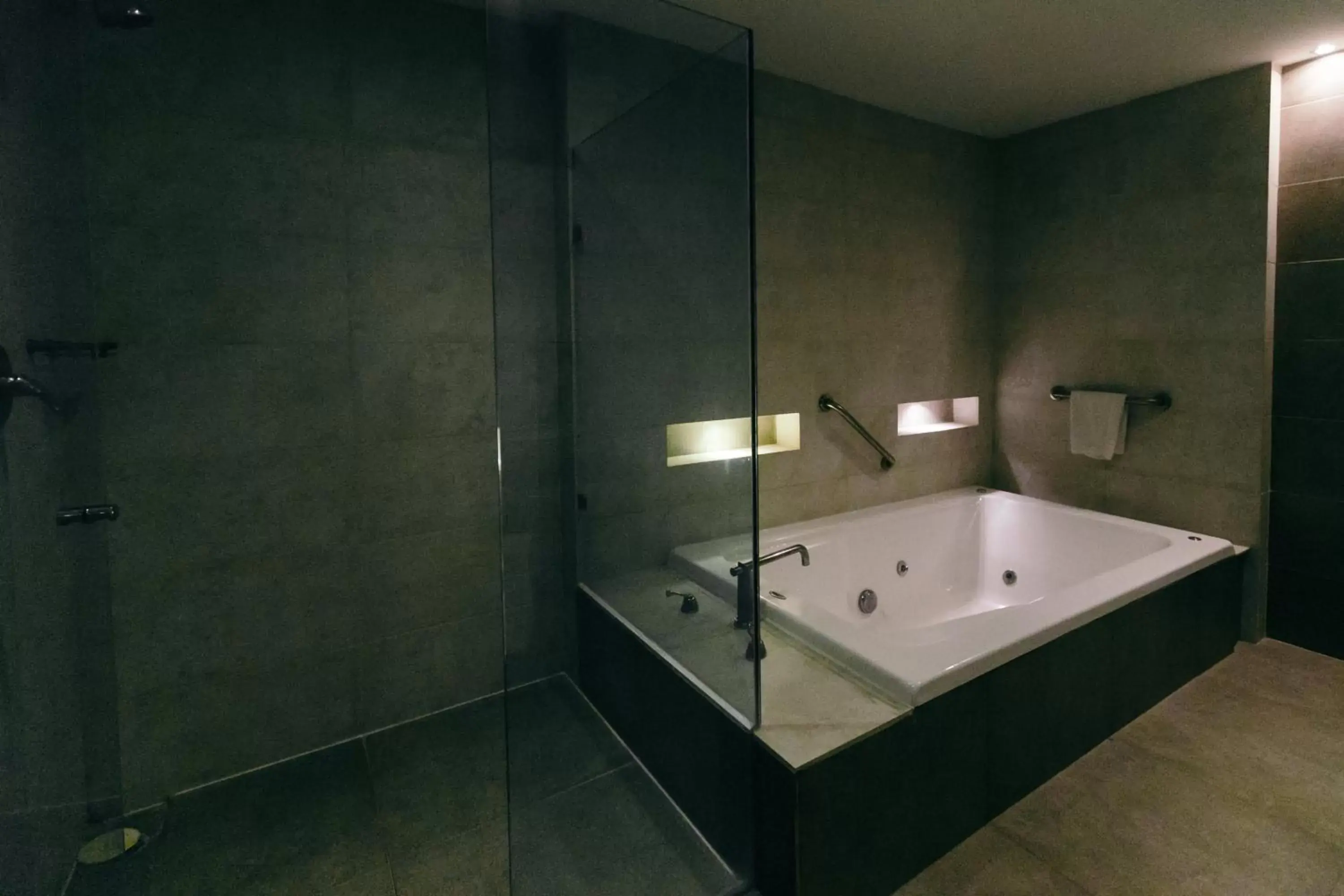 Hot Tub, Bathroom in Hotel El Español Paseo de Montejo