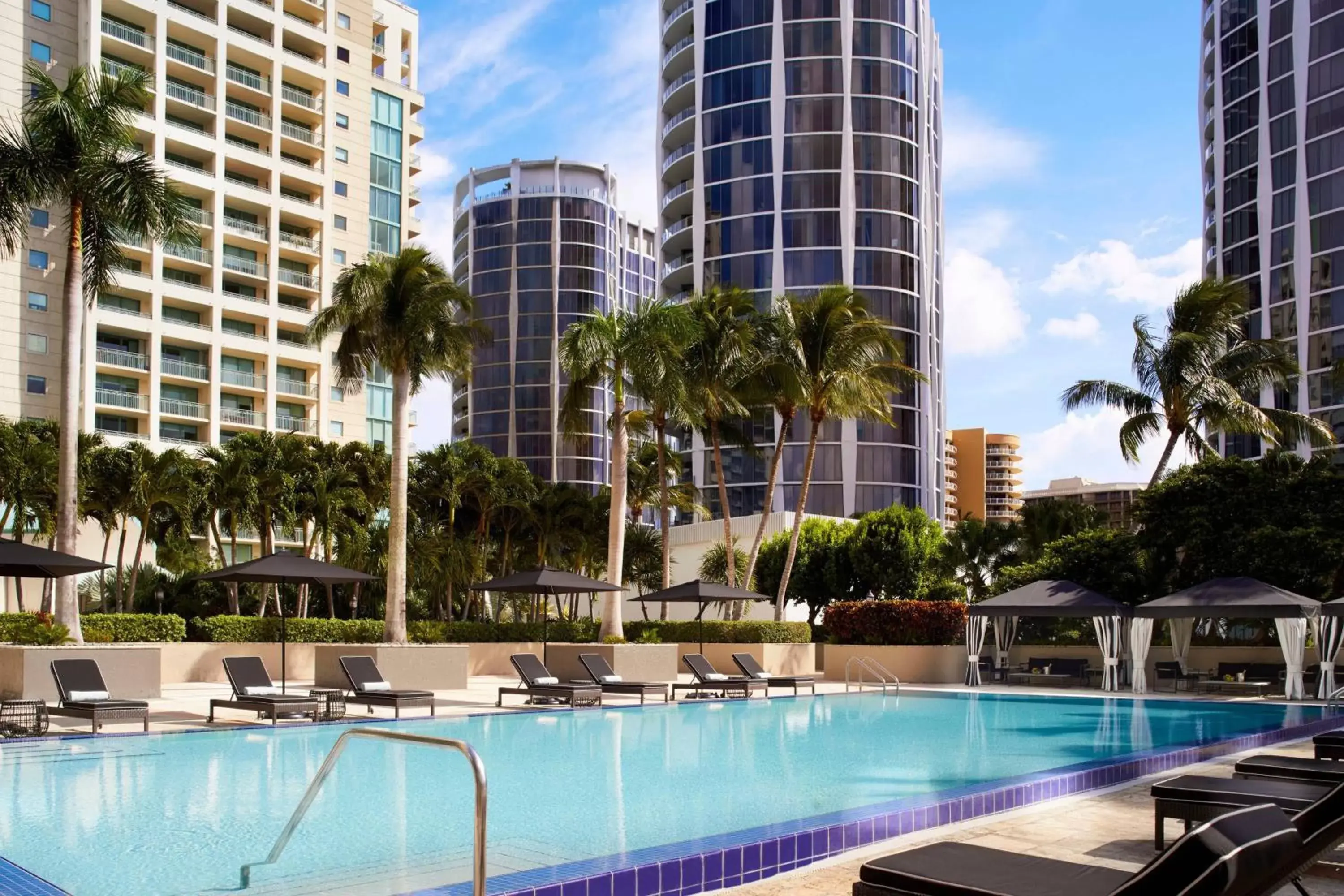 Swimming Pool in The Ritz-Carlton Coconut Grove, Miami