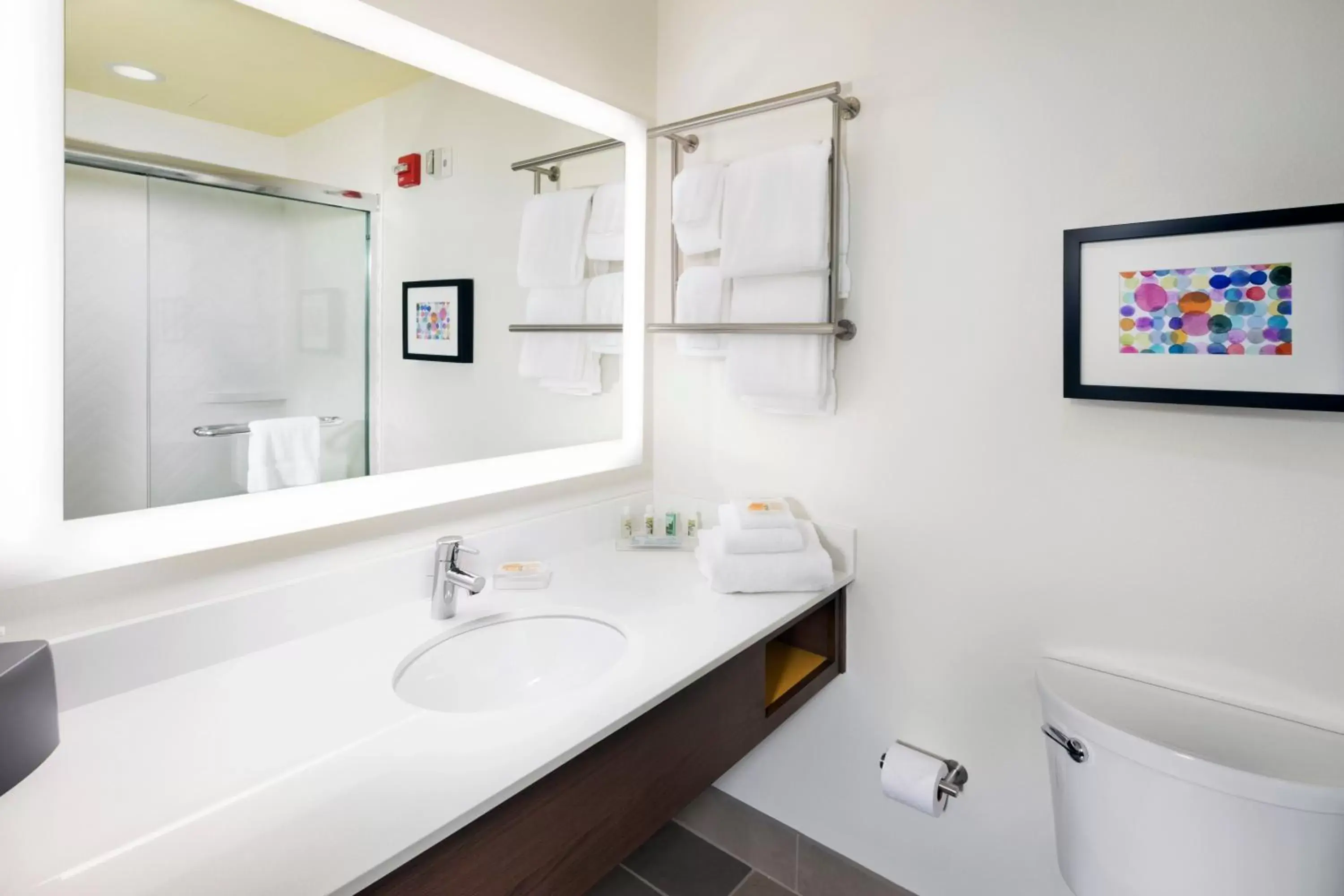 Bathroom in Holiday Inn & Suites Arden - Asheville Airport, an IHG Hotel