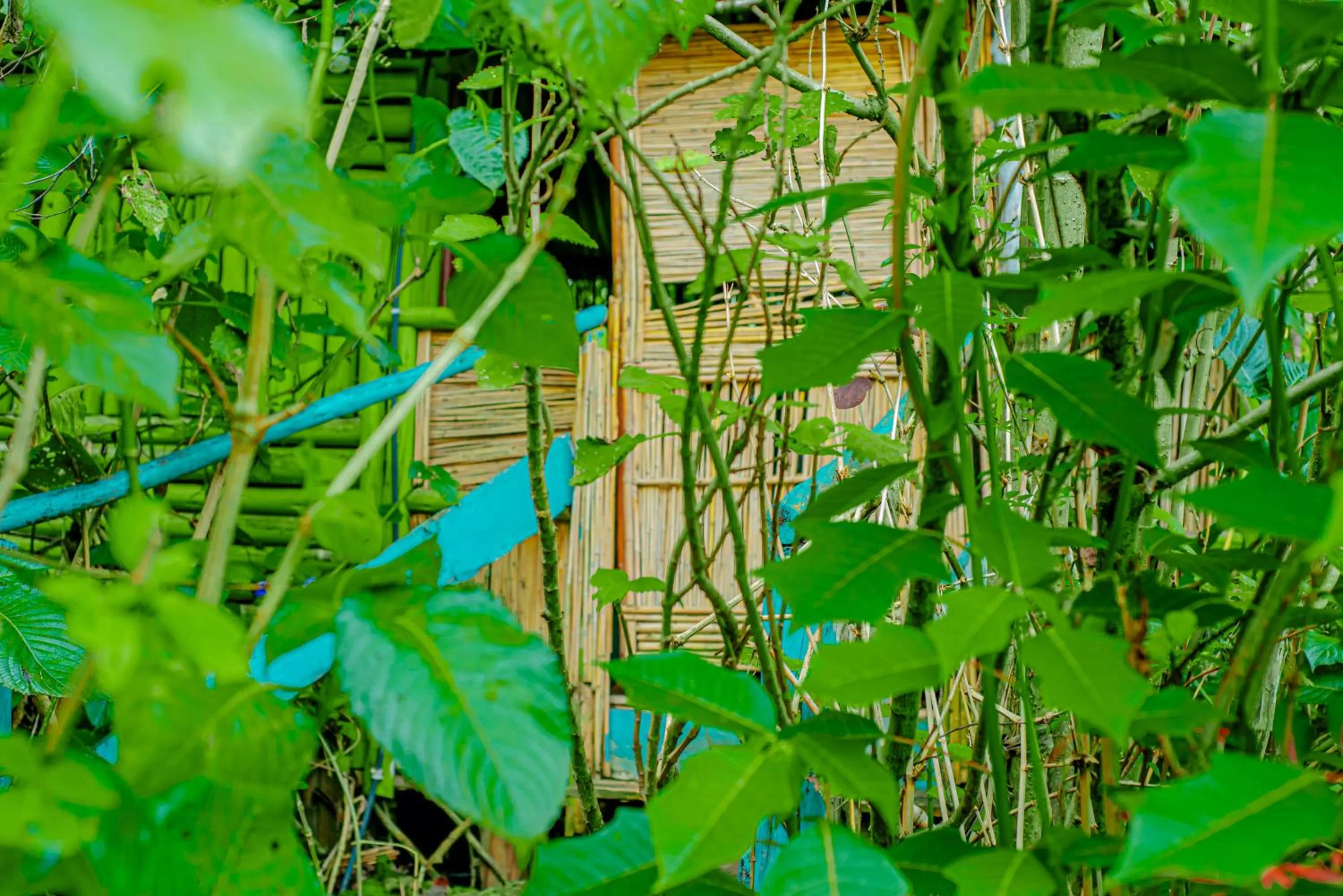 Garden view in Fravan Eco Resort By Apogee