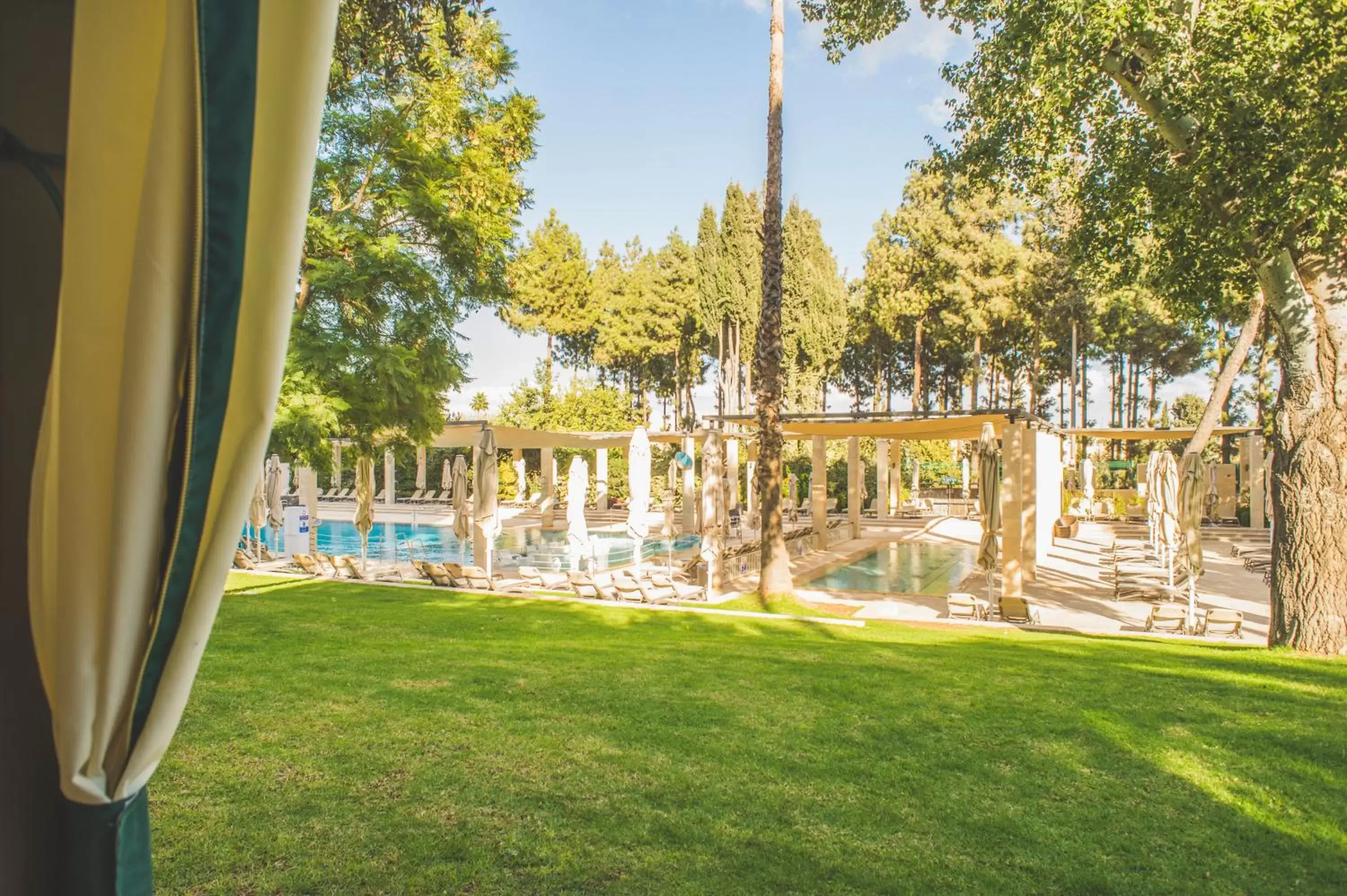 Swimming pool, Garden in King David Hotel Jerusalem