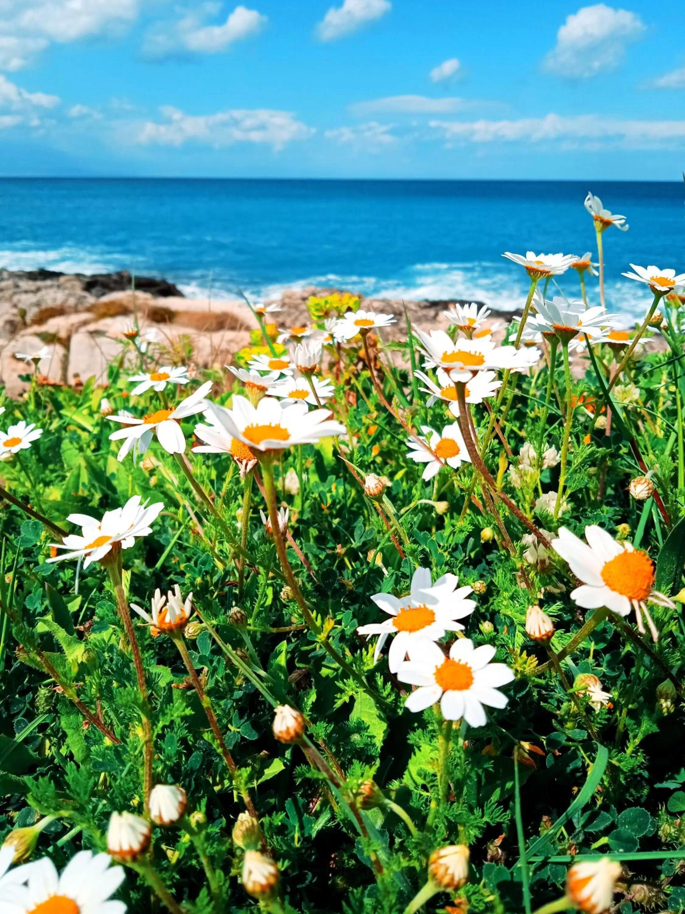 Natural landscape in B&B Villa Nella